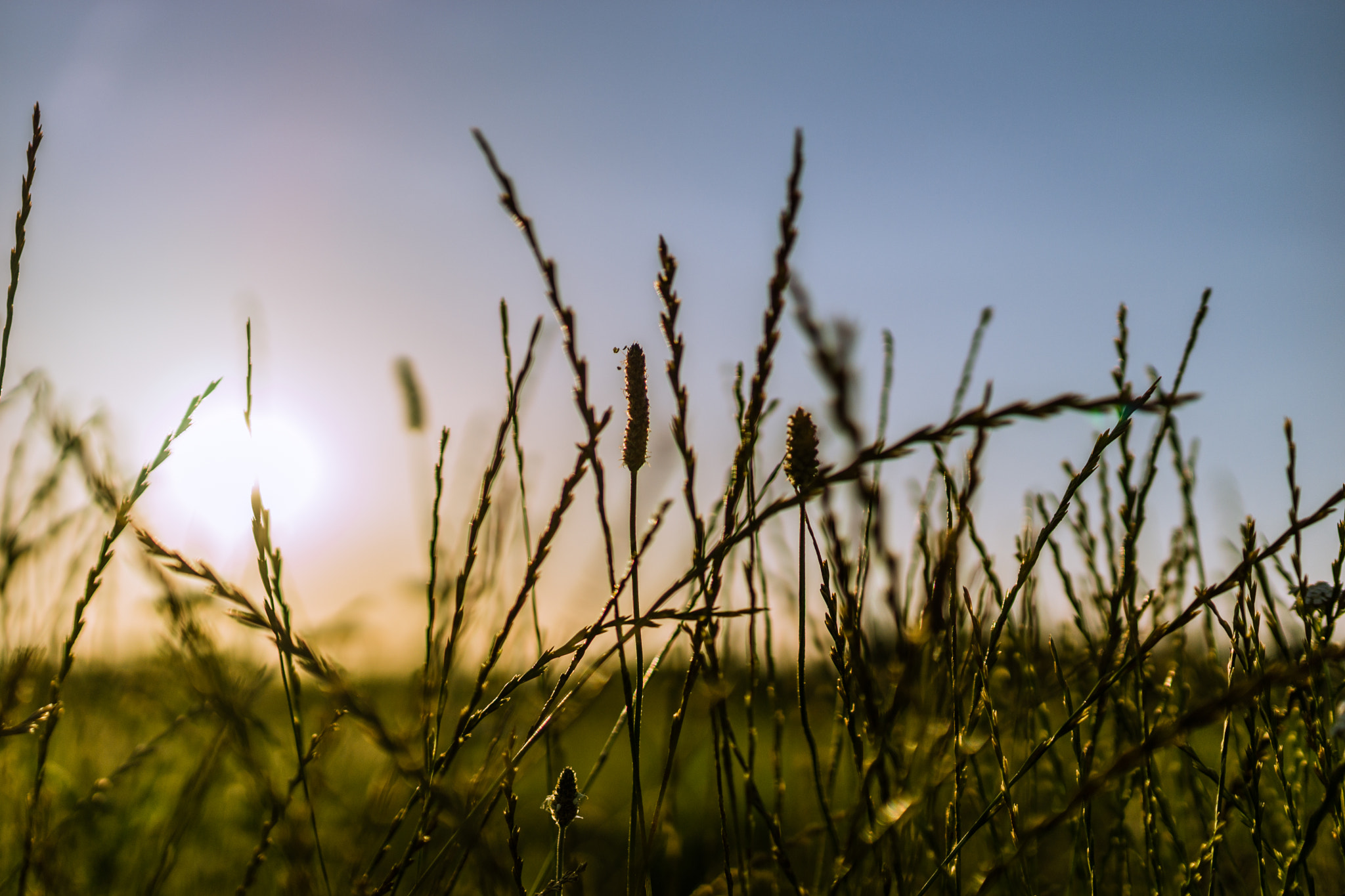 Sony SLT-A77 + Sigma 35mm F1.4 DG HSM Art sample photo. Sunrise  photography