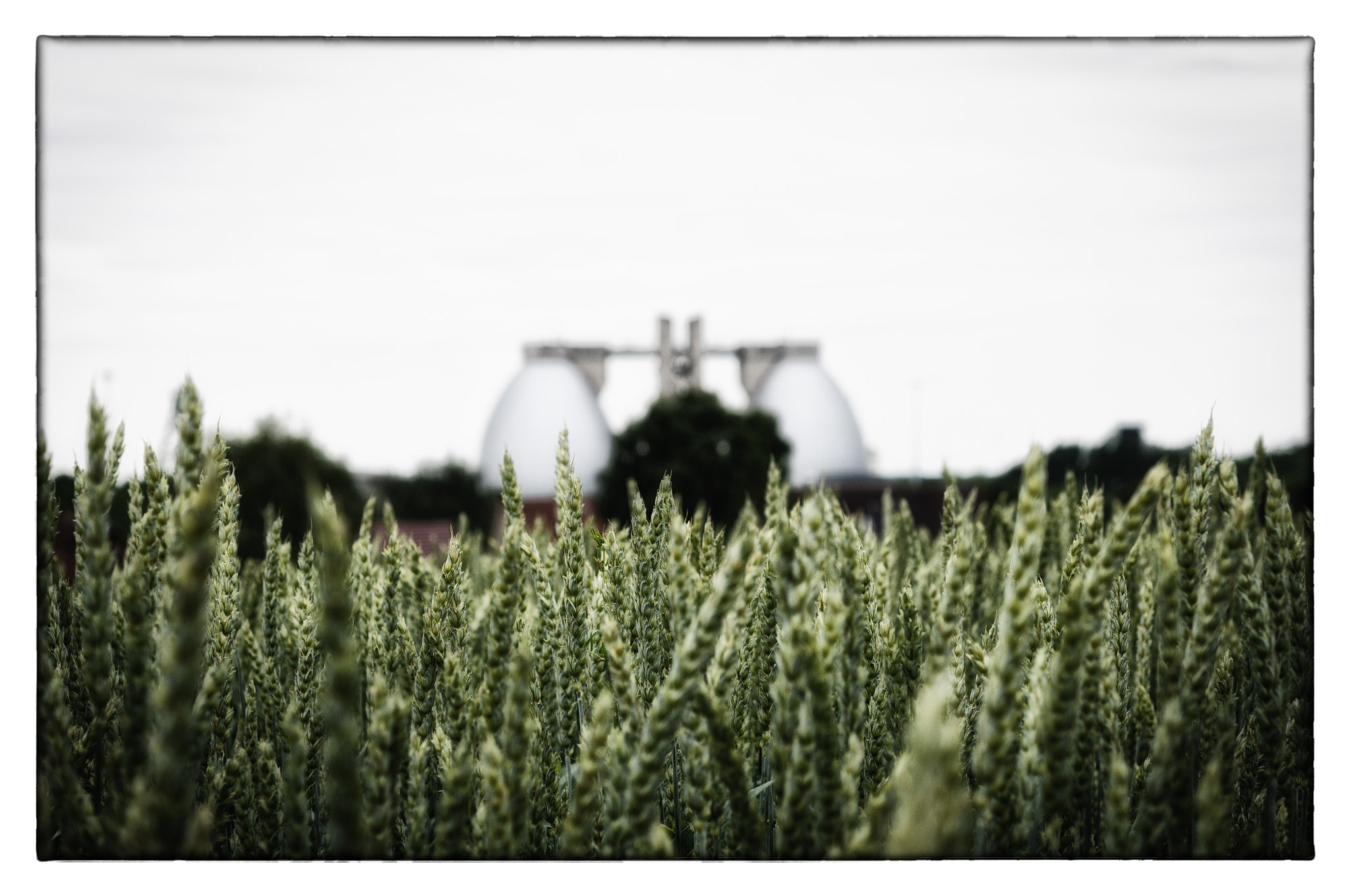 Nikon AF-S Micro-Nikkor 60mm F2.8G ED sample photo. Deusen photography