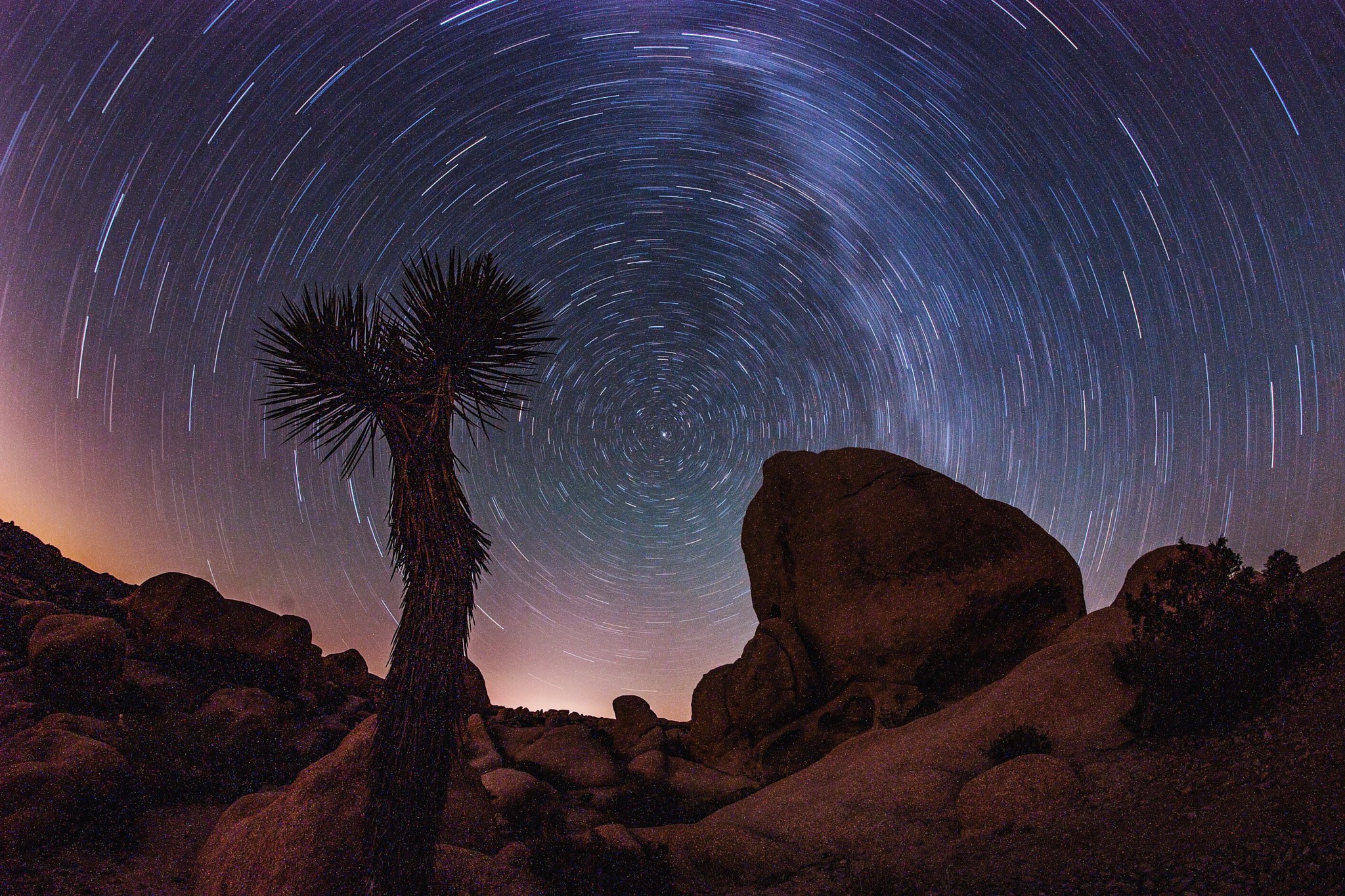 Samyang 12mm F2.8 ED AS NCS Fisheye sample photo. Star trails in joshua tree national park - july 2016 - www.grizzleemartin.com photography