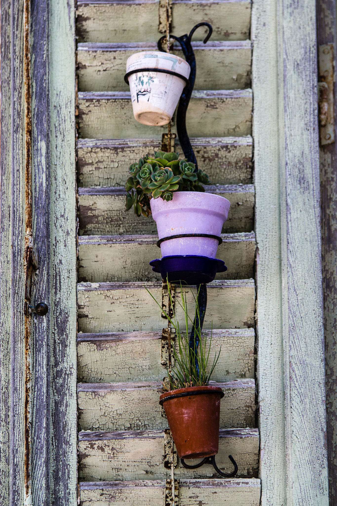 Sigma 70-200mm F2.8 EX DG OS HSM sample photo. Flower pots photography