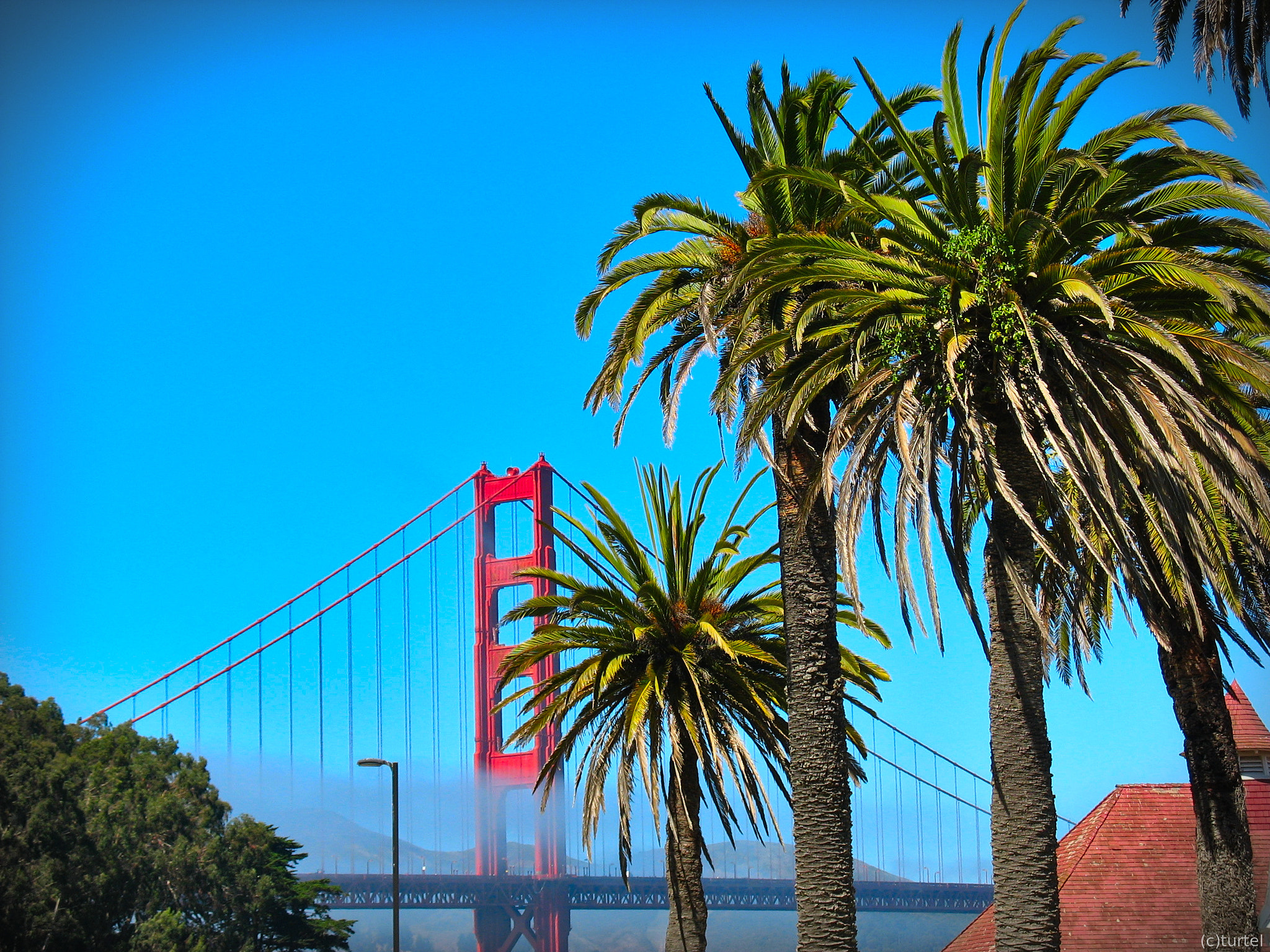 Canon POWERSHOT A610 sample photo. Golden gate bridge photography