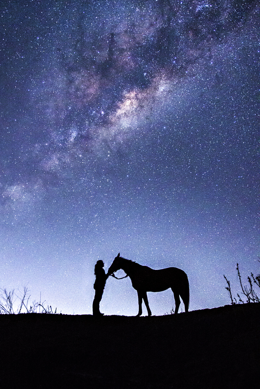 Nikon D610 + Sigma 18-35mm F1.8 DC HSM Art sample photo. Self portrait of my favourite things photography