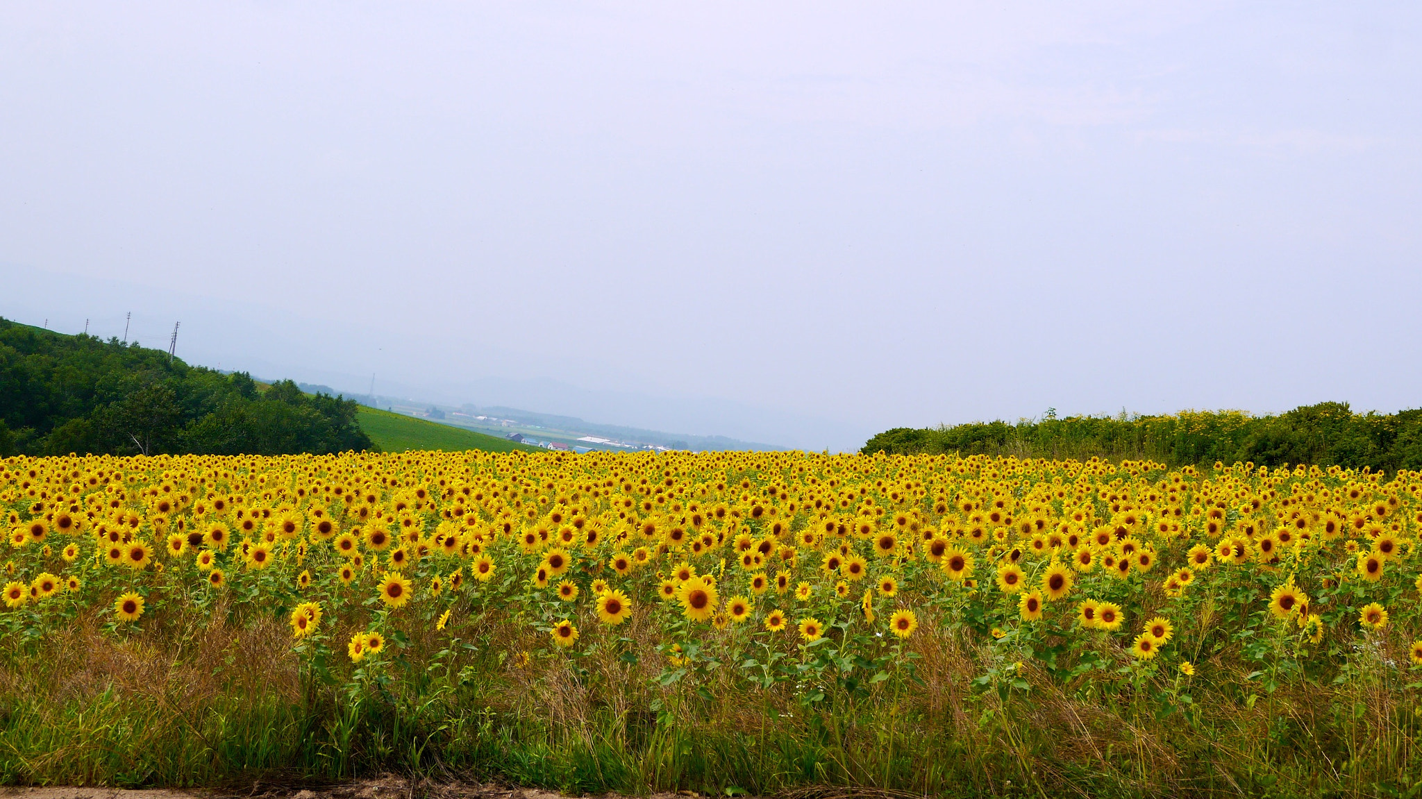 LUMIX G VARIO PZ 14-42/F3.5-5.6 sample photo. Nayoro hokkaido japan photography