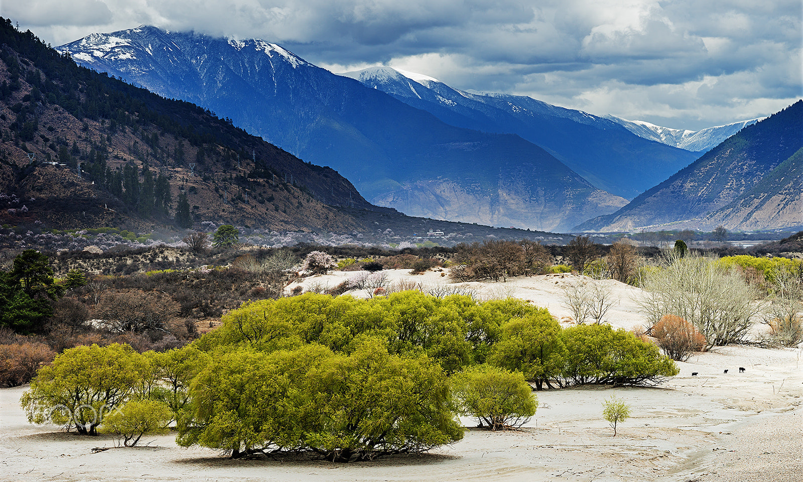 Sony a99 II + Minolta/Sony AF 70-200mm F2.8 G sample photo. Yarlung zangbo grand canyon photography