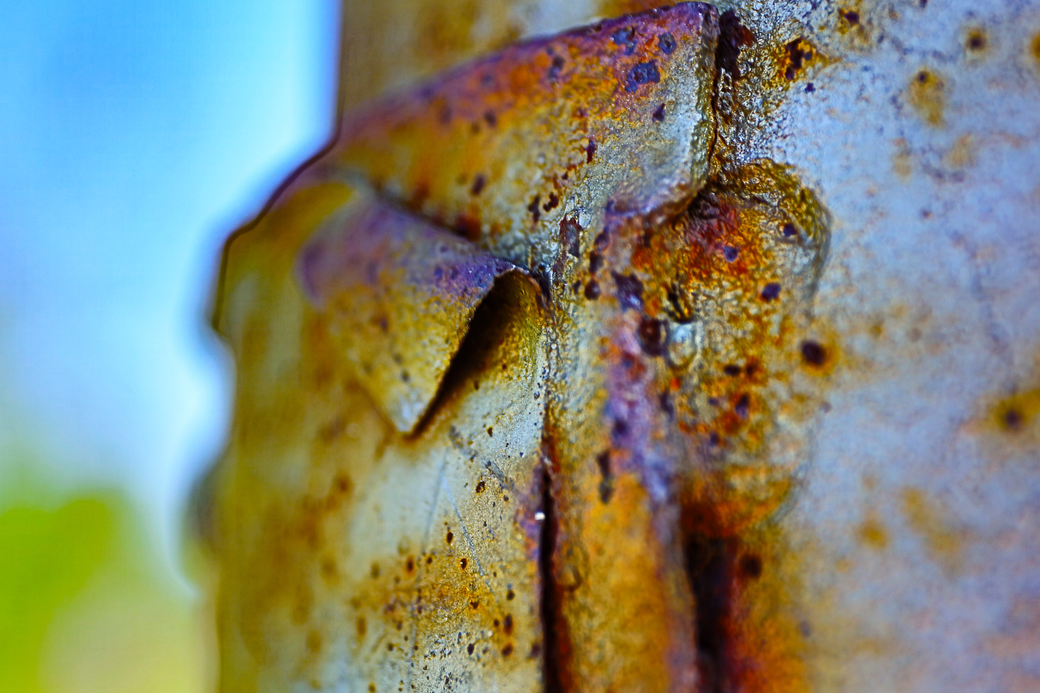Canon EOS 5DS sample photo. Rust photography
