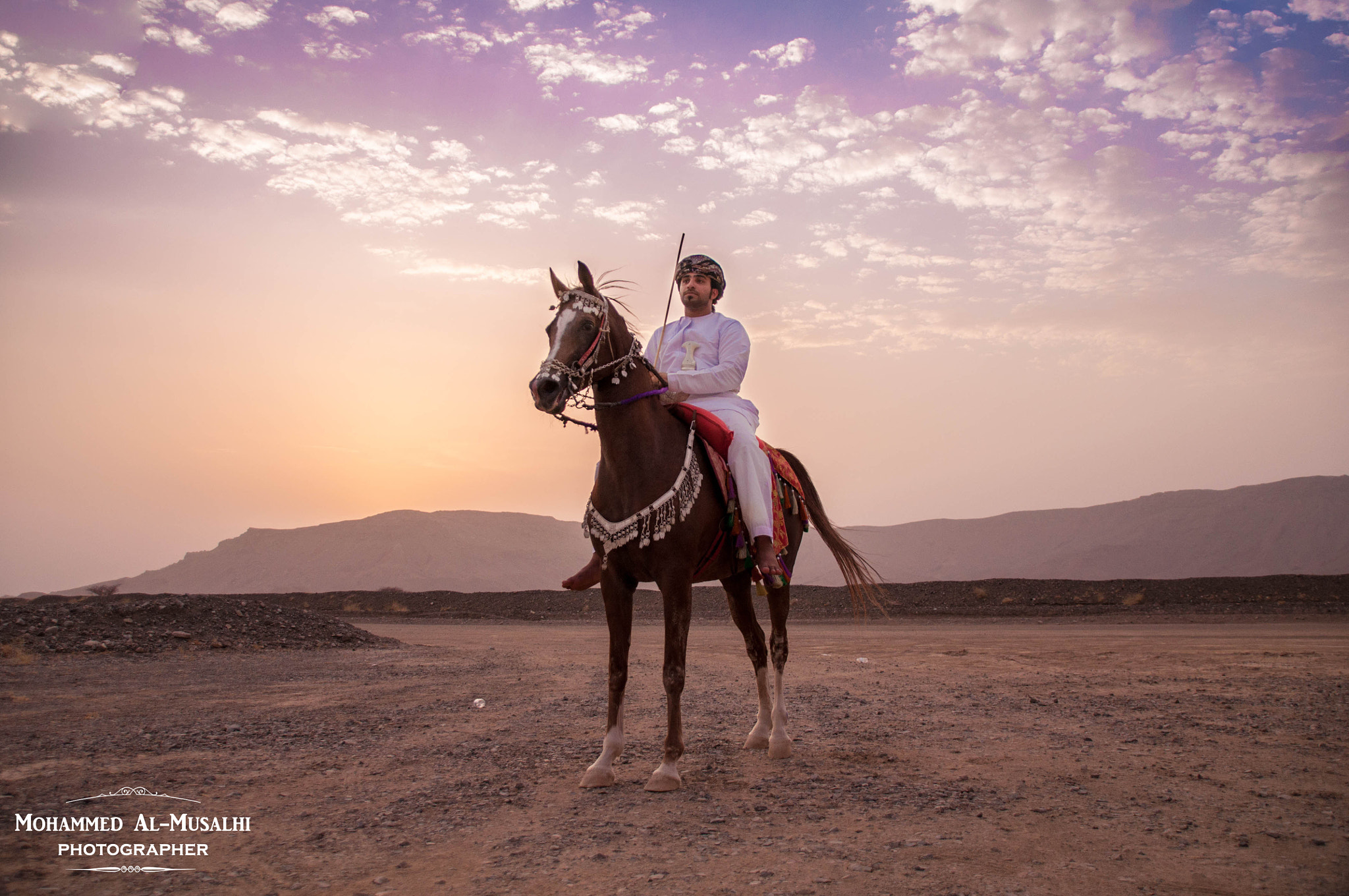 Sigma 18-250mm F3.5-6.3 DC Macro OS HSM sample photo. Arabic horseman photography