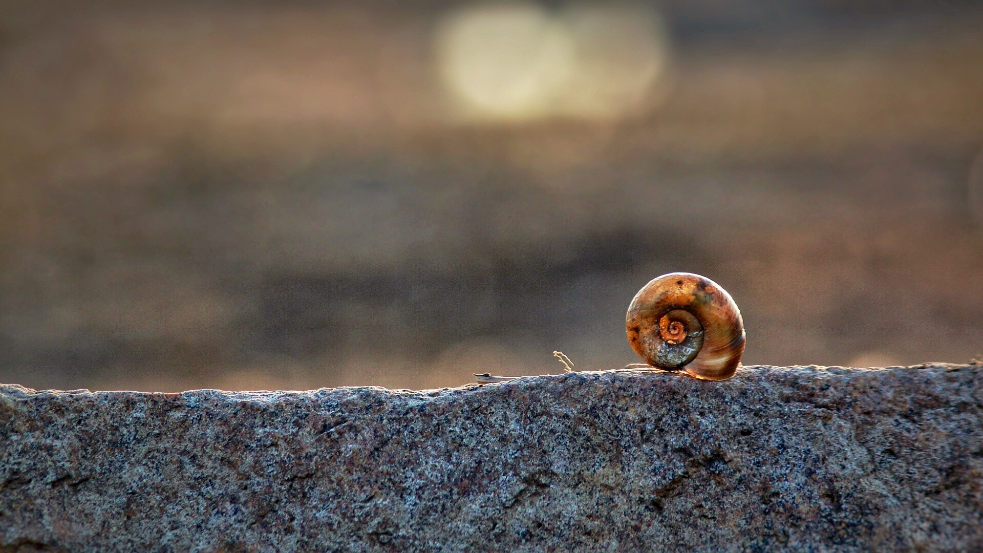 Canon EF 75-300mm F4.0-5.6 IS USM sample photo