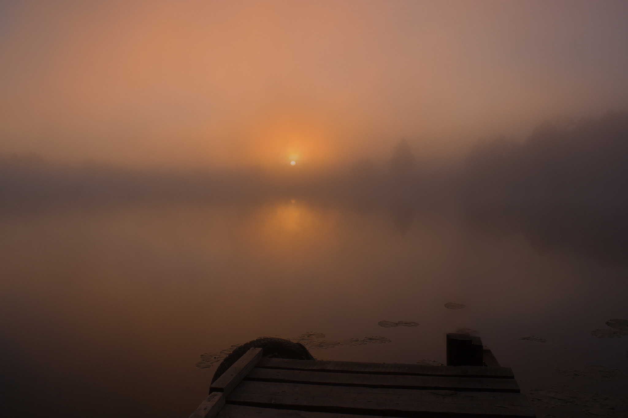 Canon EOS 400D (EOS Digital Rebel XTi / EOS Kiss Digital X) sample photo. Очень туманный рассвет   /   very foggy sunrise photography
