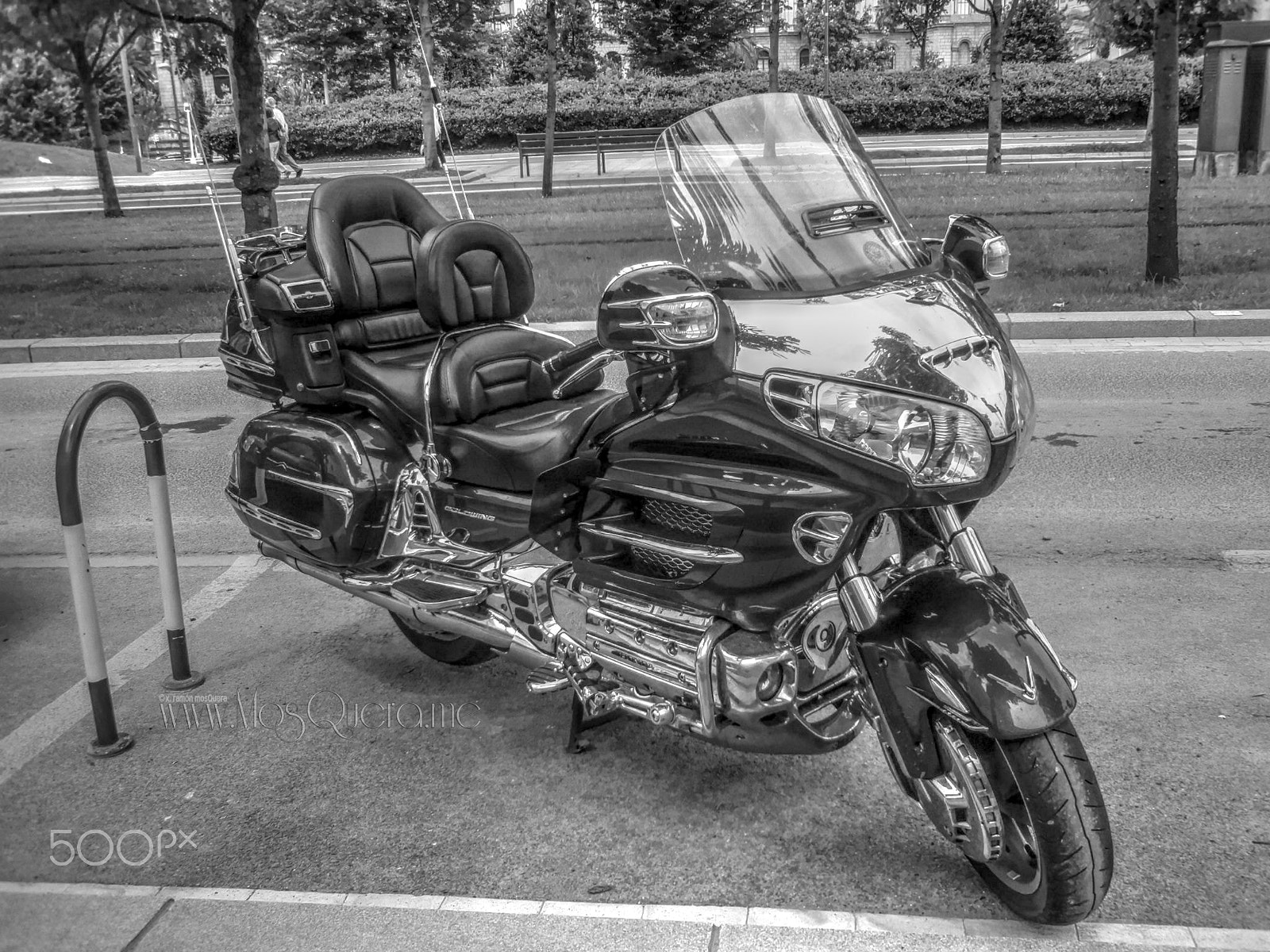 Olympus u780,S780 sample photo. Goldwing photography