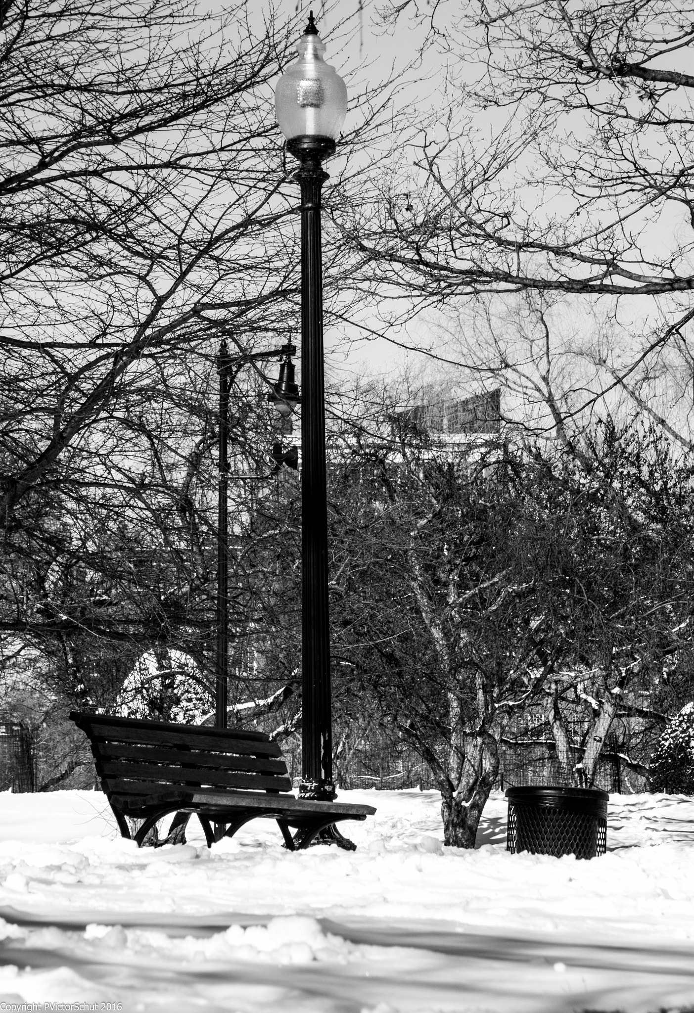 Sigma 18-250mm F3.5-6.3 DC OS HSM sample photo. Boston common bench photography