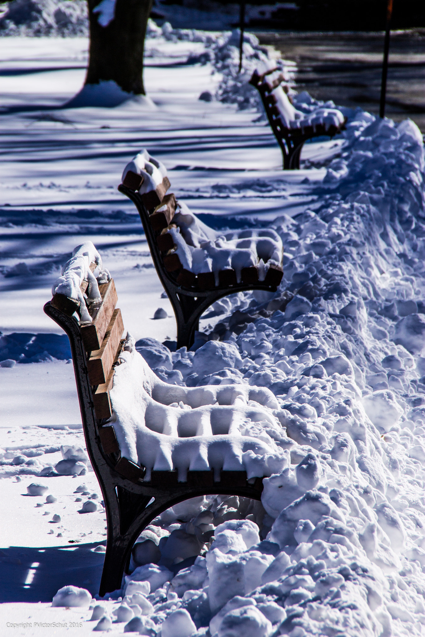 Sigma 18-250mm F3.5-6.3 DC OS HSM sample photo. Boston common snow benches photography