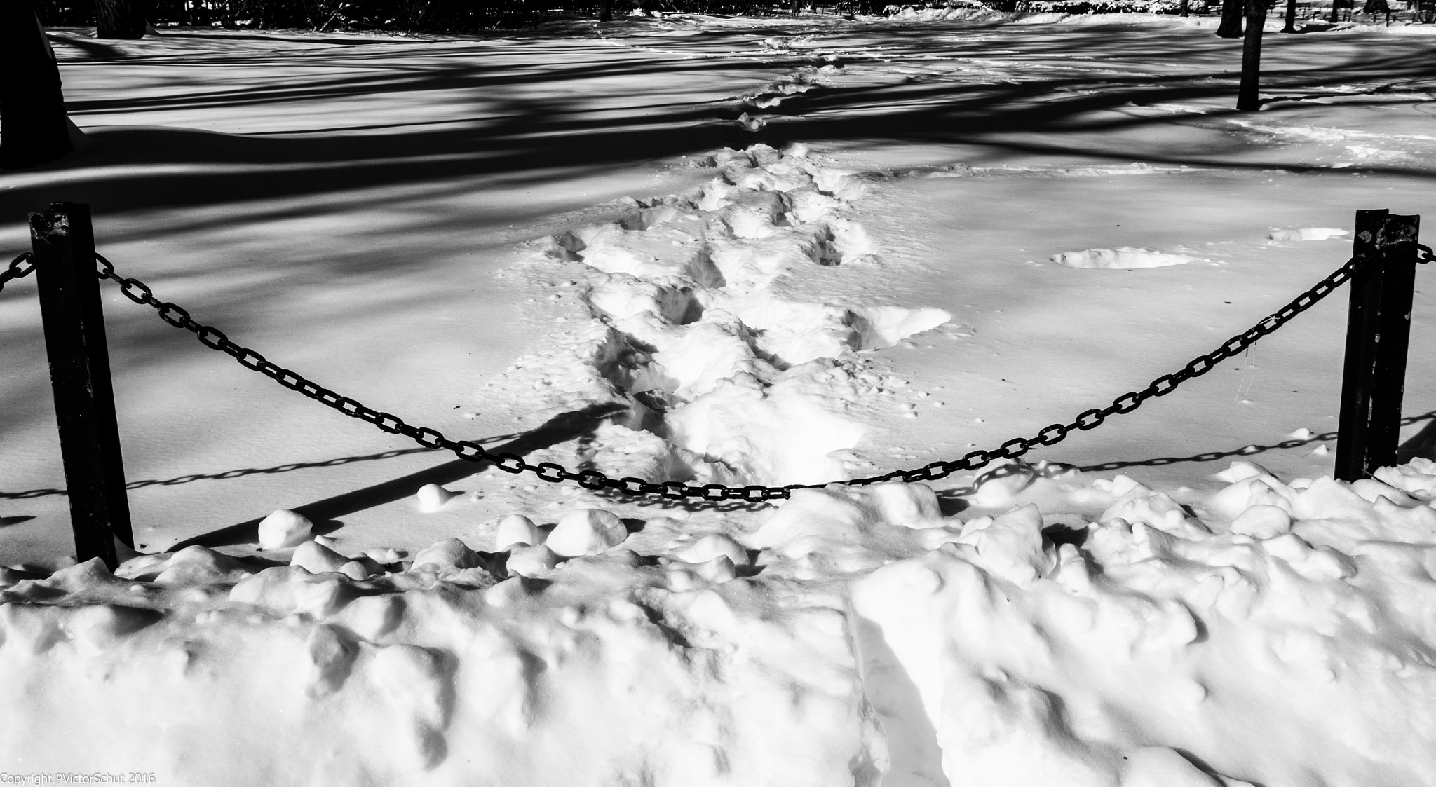 Sigma 18-250mm F3.5-6.3 DC OS HSM sample photo. Boston common snow photography