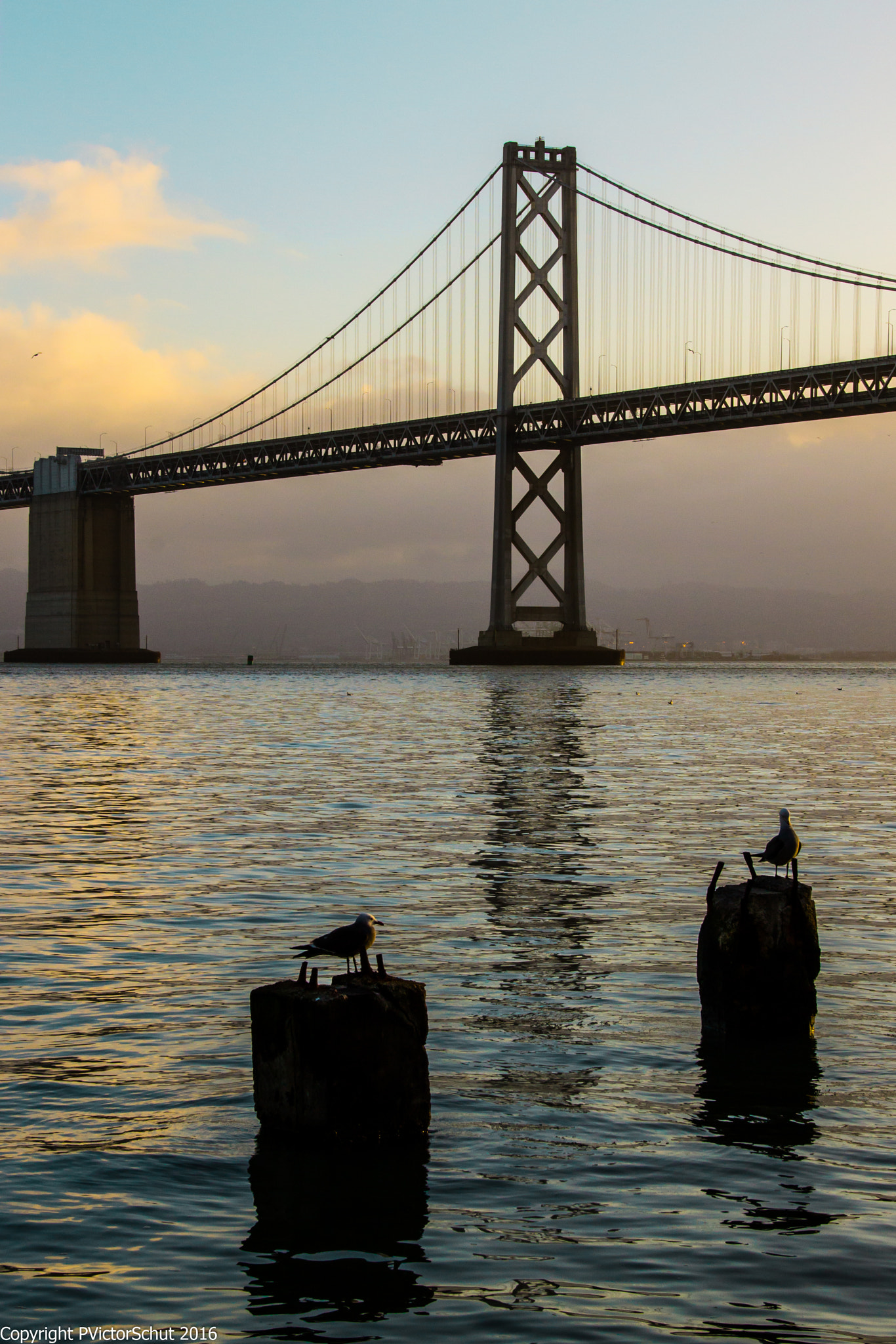 Sigma 18-250mm F3.5-6.3 DC OS HSM sample photo. Bay bridge morning photography