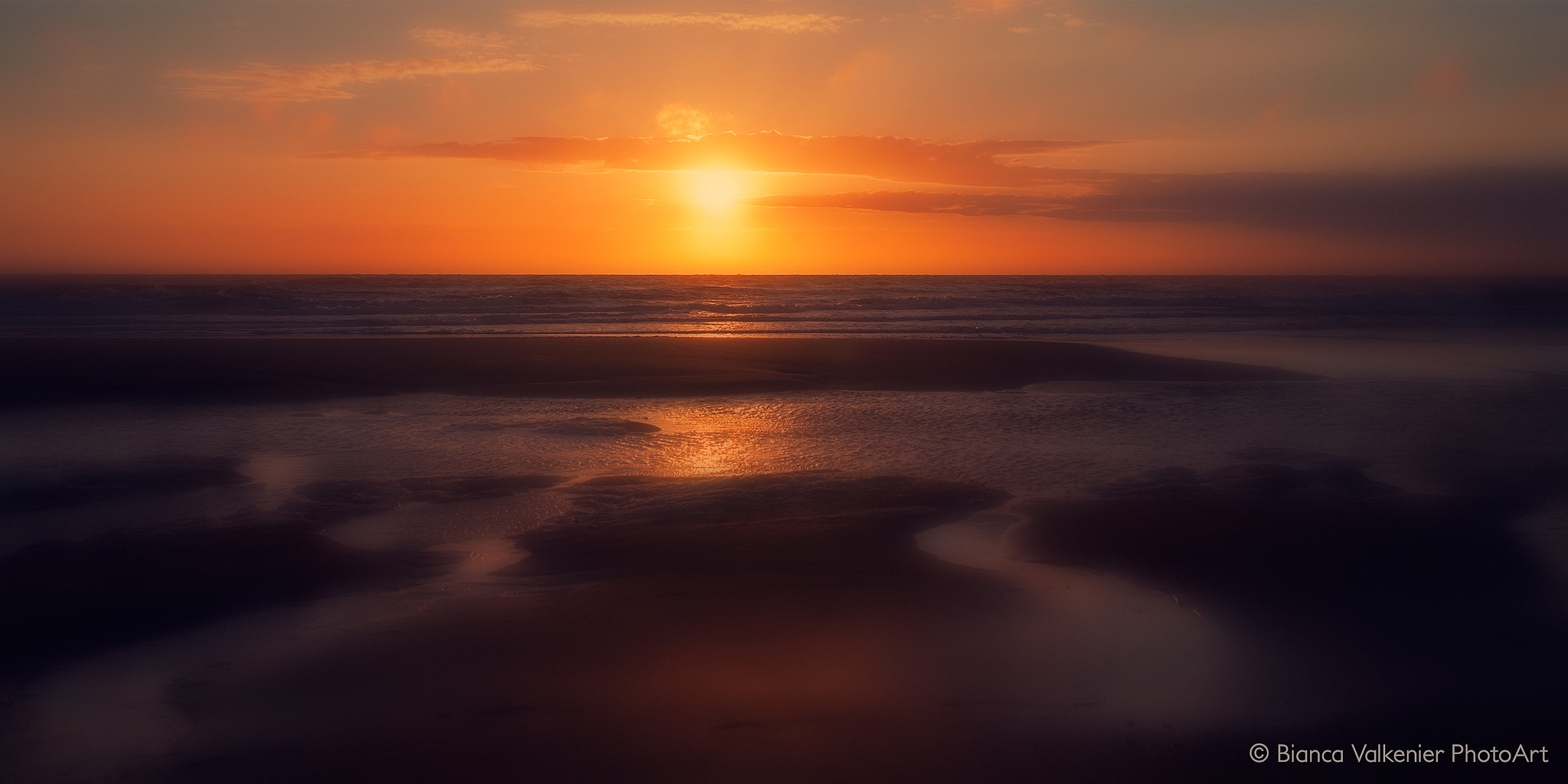 Canon EOS 5D + Canon EF 17-35mm f/2.8L sample photo. Follow the sun.... photography