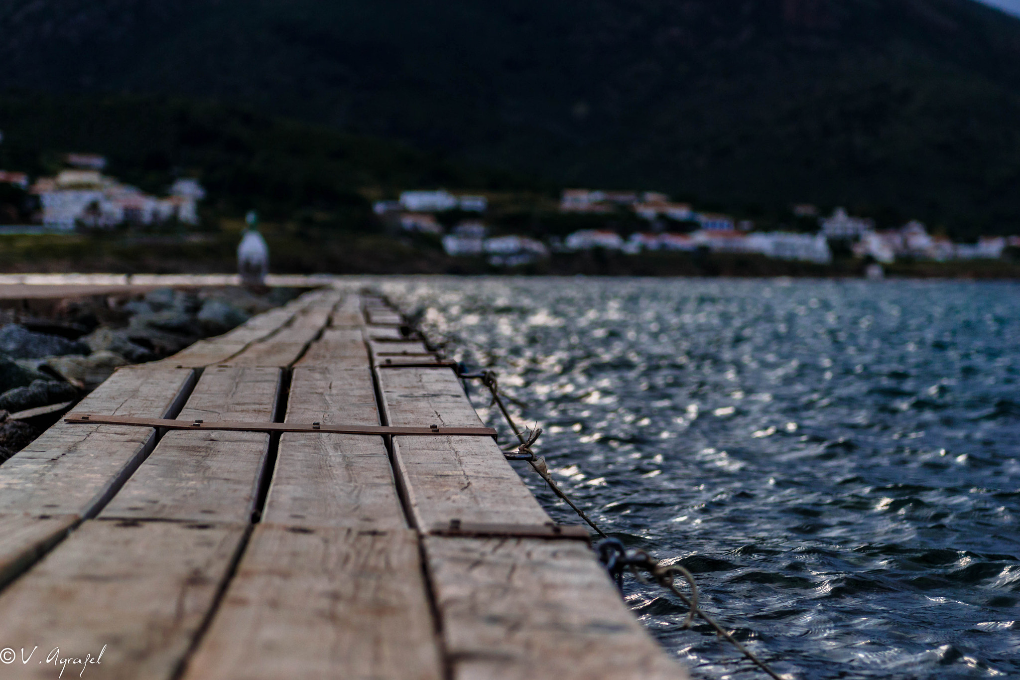 Nikon D3100 sample photo. Peace photography