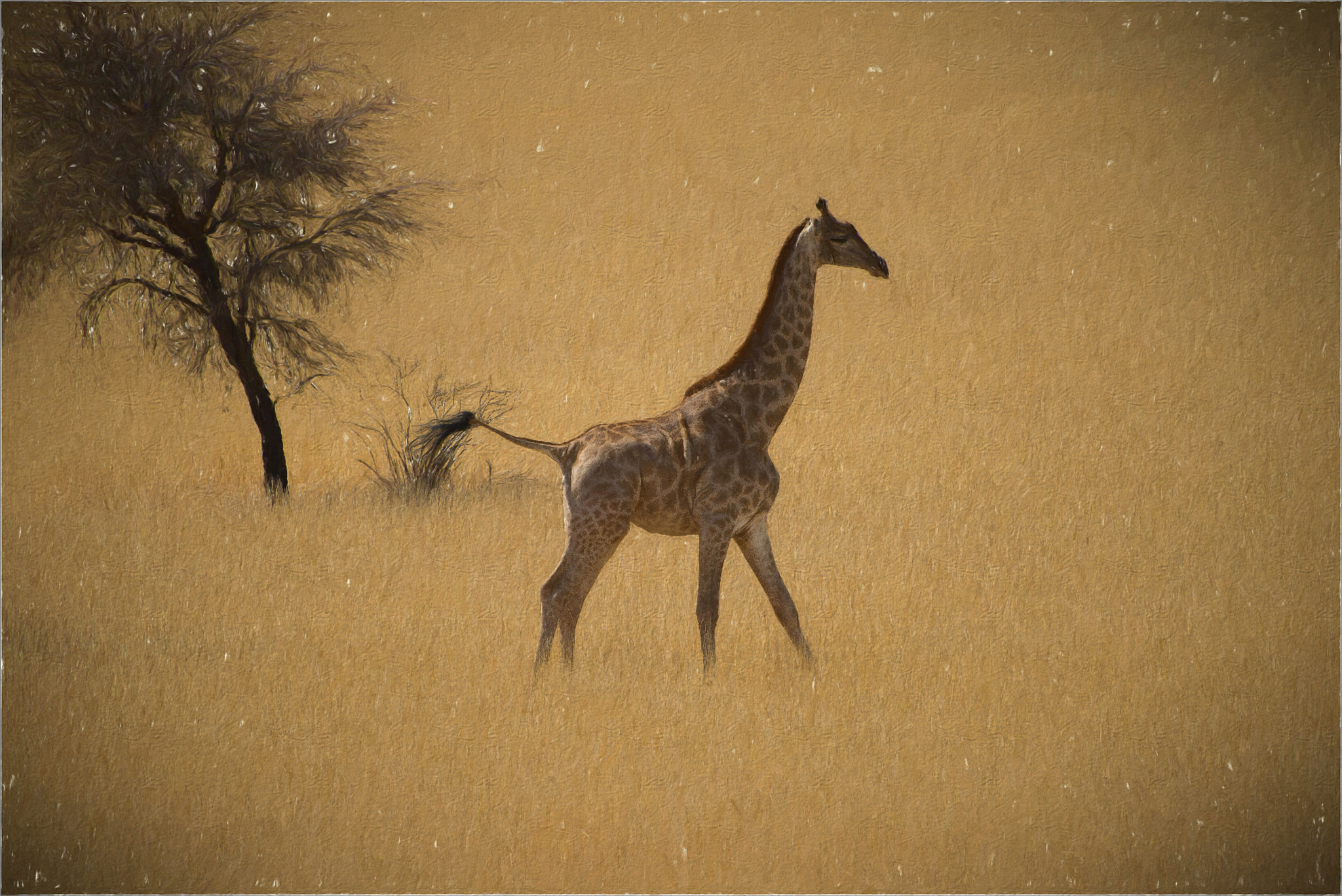 Nikon D800E sample photo. Wide land..... photography