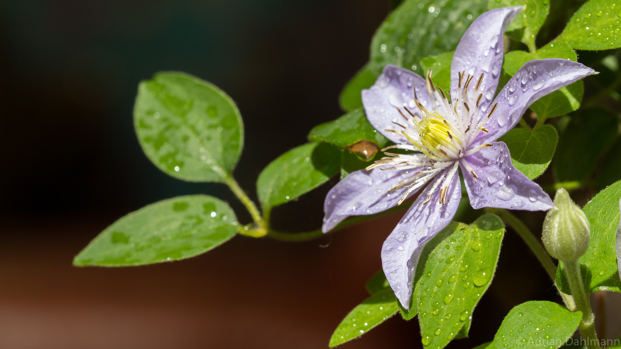 Canon EF 100mm F2.8 Macro USM sample photo. Just around the corner photography