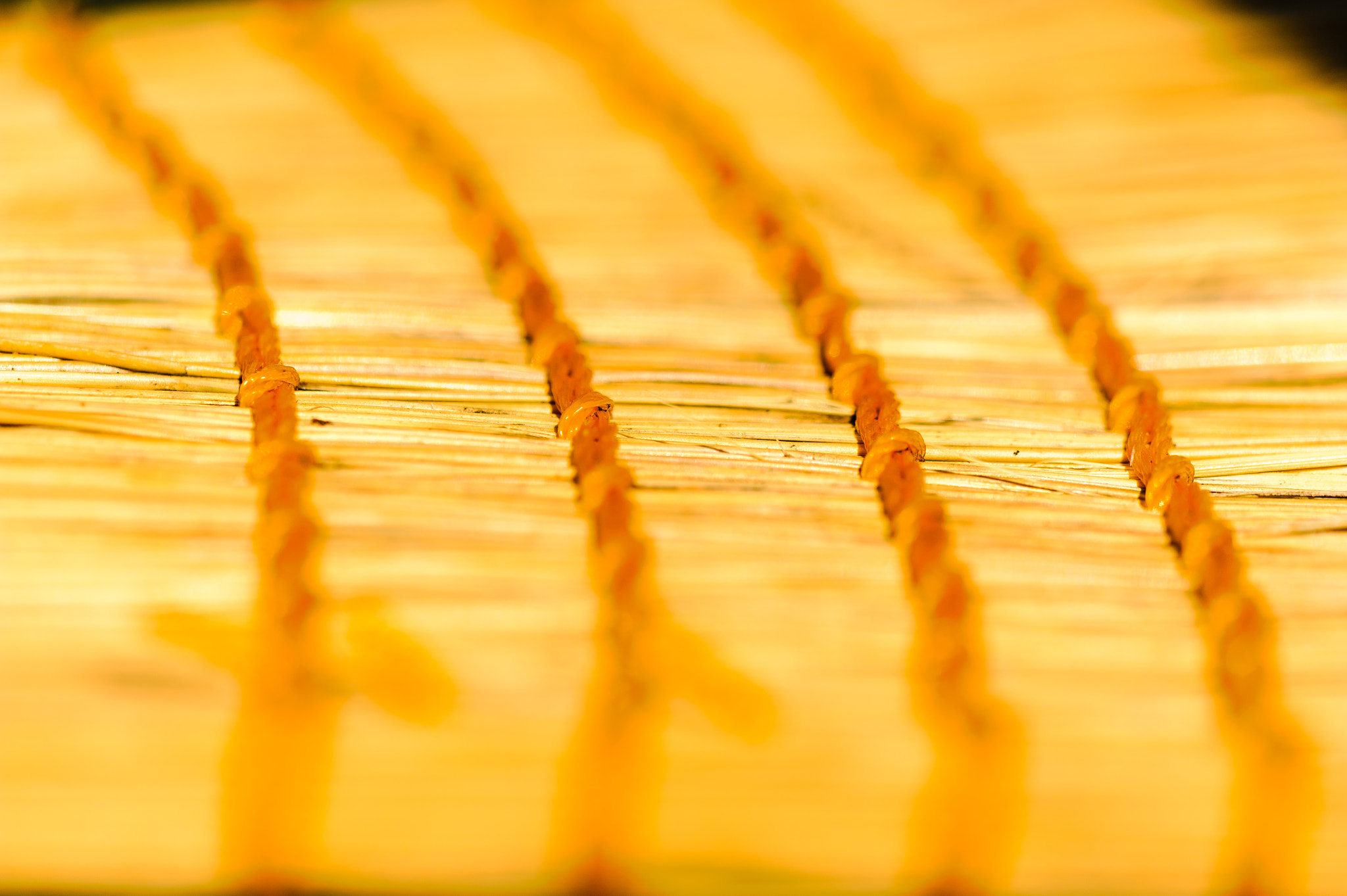 Sigma 150mm F2.8 EX DG Macro HSM sample photo. A clean sweep photography