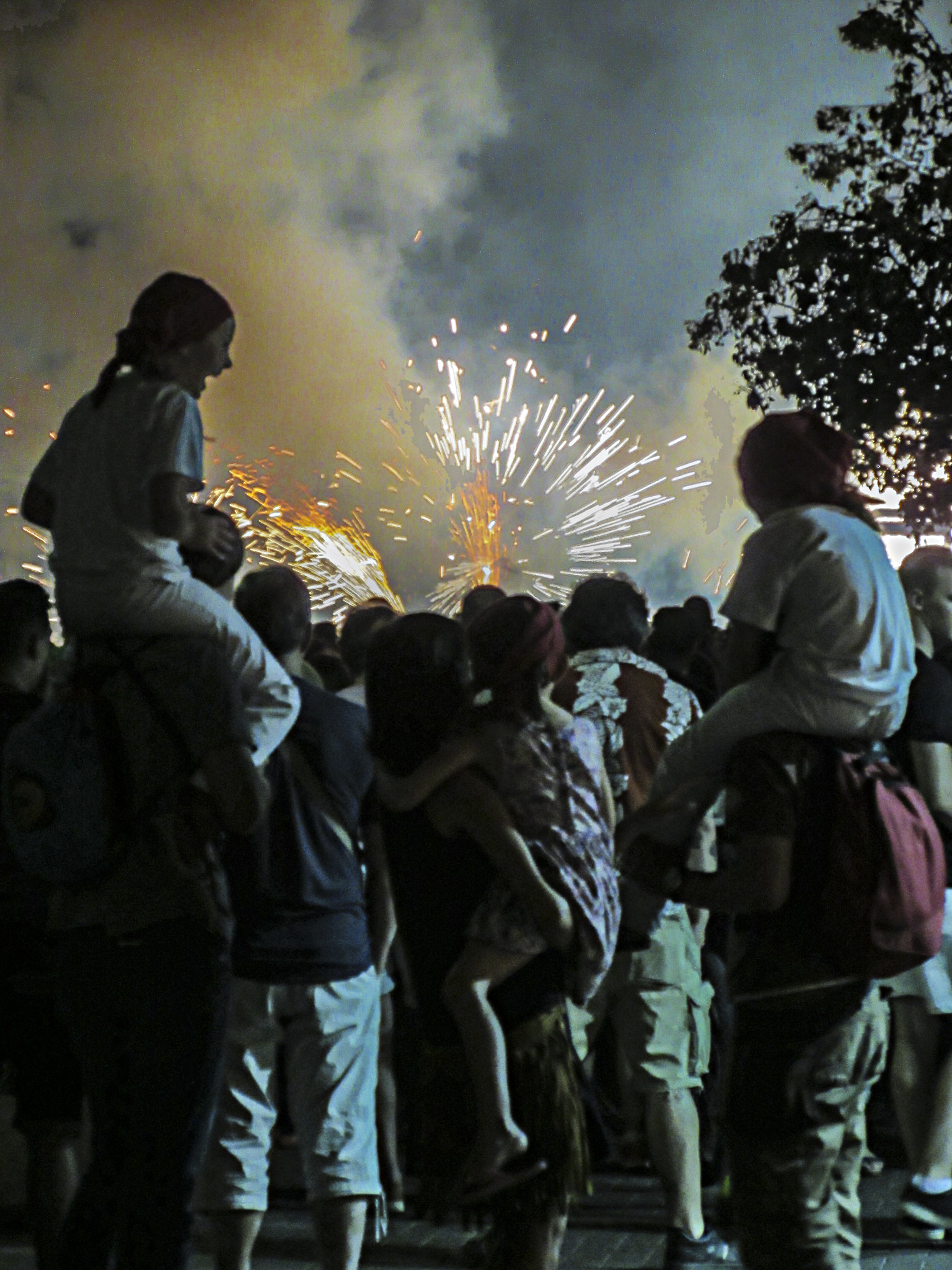 Canon PowerShot ELPH 340 HS (IXUS 265 HS / IXY 630) sample photo. Living firework photography