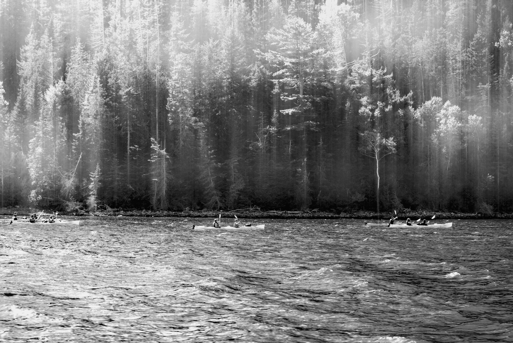 Nikon D60 sample photo. Sun rain!!..summer @ acadia. photography