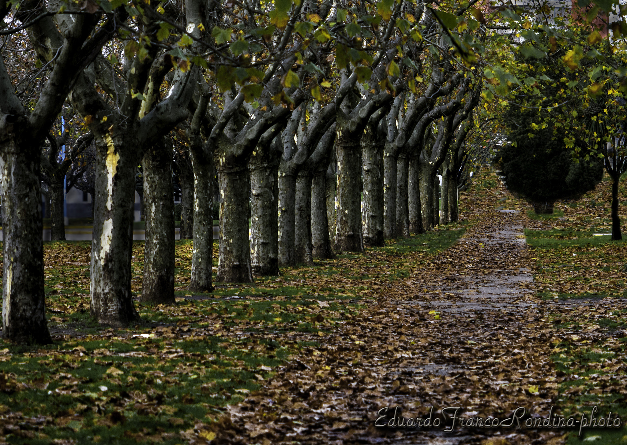 Canon EF 55-200mm F4.5-5.6 II USM sample photo. I did it my way photography