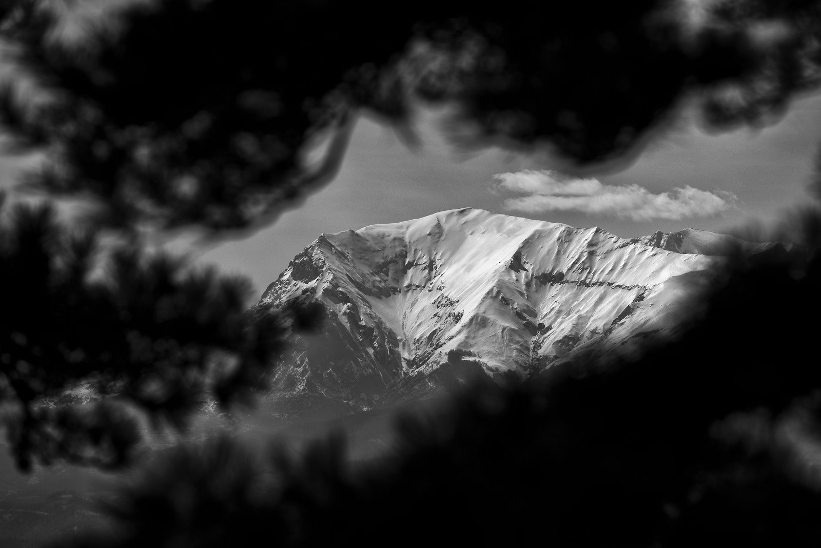 AF Nikkor 180mm f/2.8 IF-ED sample photo. Monte vettore photography