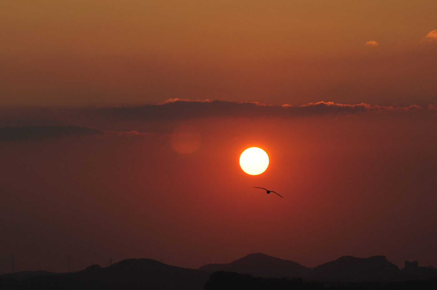 Sigma 70-200mm F2.8 EX DG Macro HSM II sample photo. Sundown photography