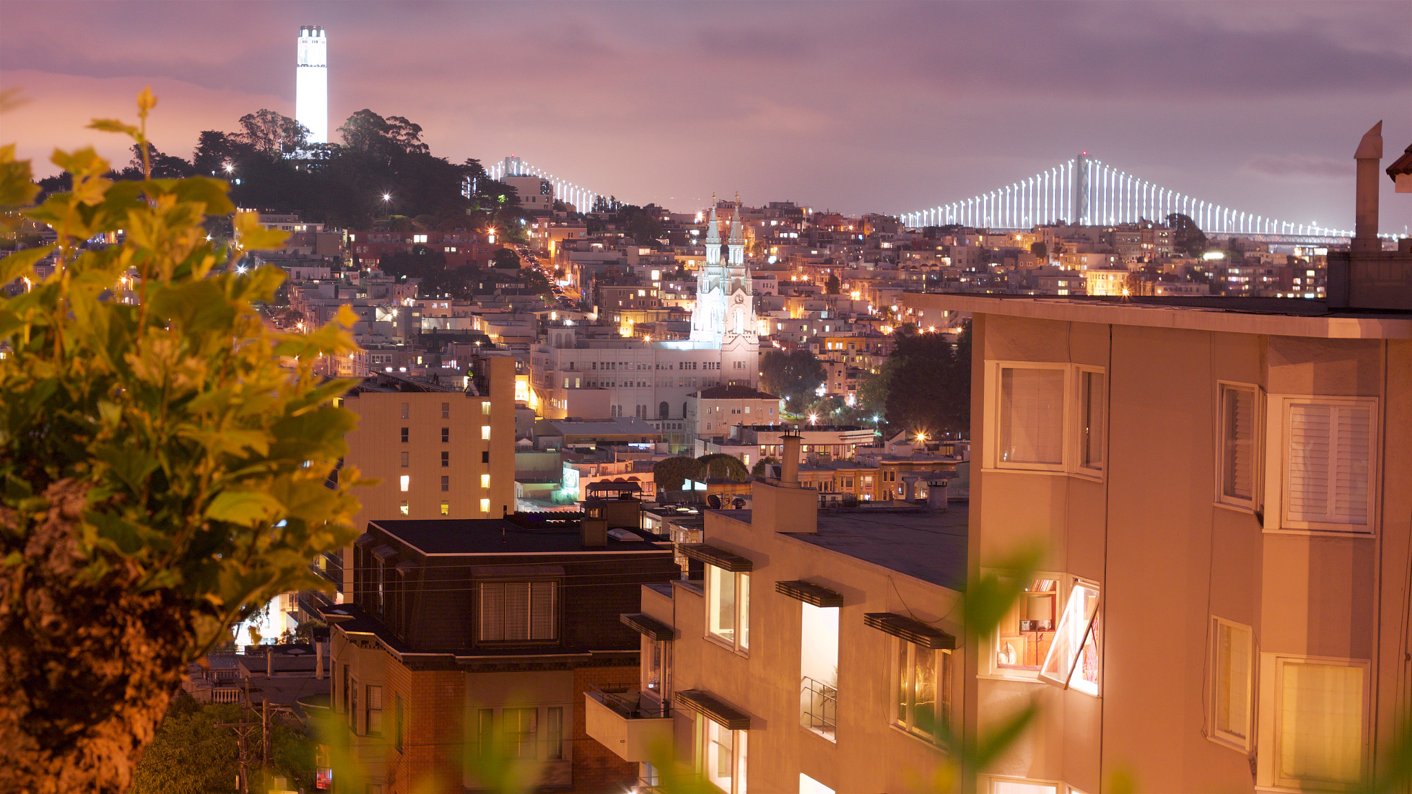 Canon EOS M + Canon EF 50mm F1.8 II sample photo. From the top of san francisco's lombard street. co ... photography