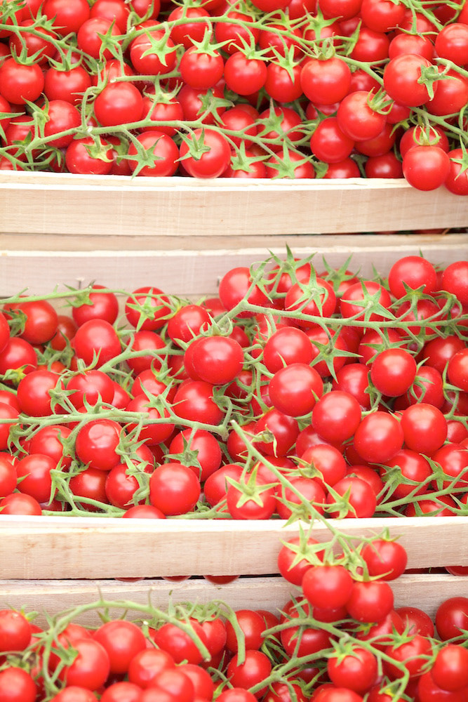 Canon EOS 60D + Canon EF 135mm F2L USM sample photo. Tomatoes photography