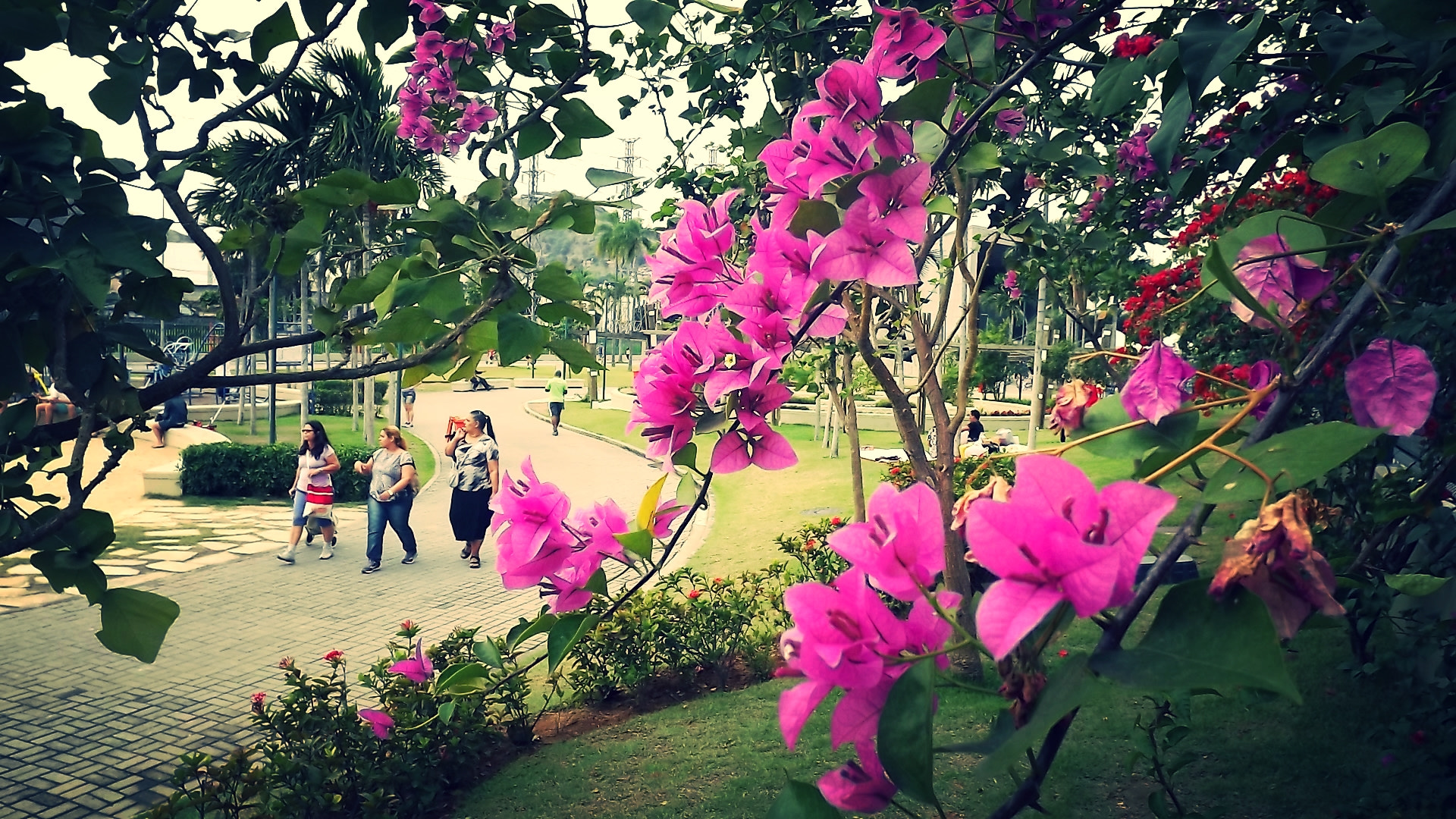 Fujifilm FinePix S3300 sample photo. Parque madureira photography