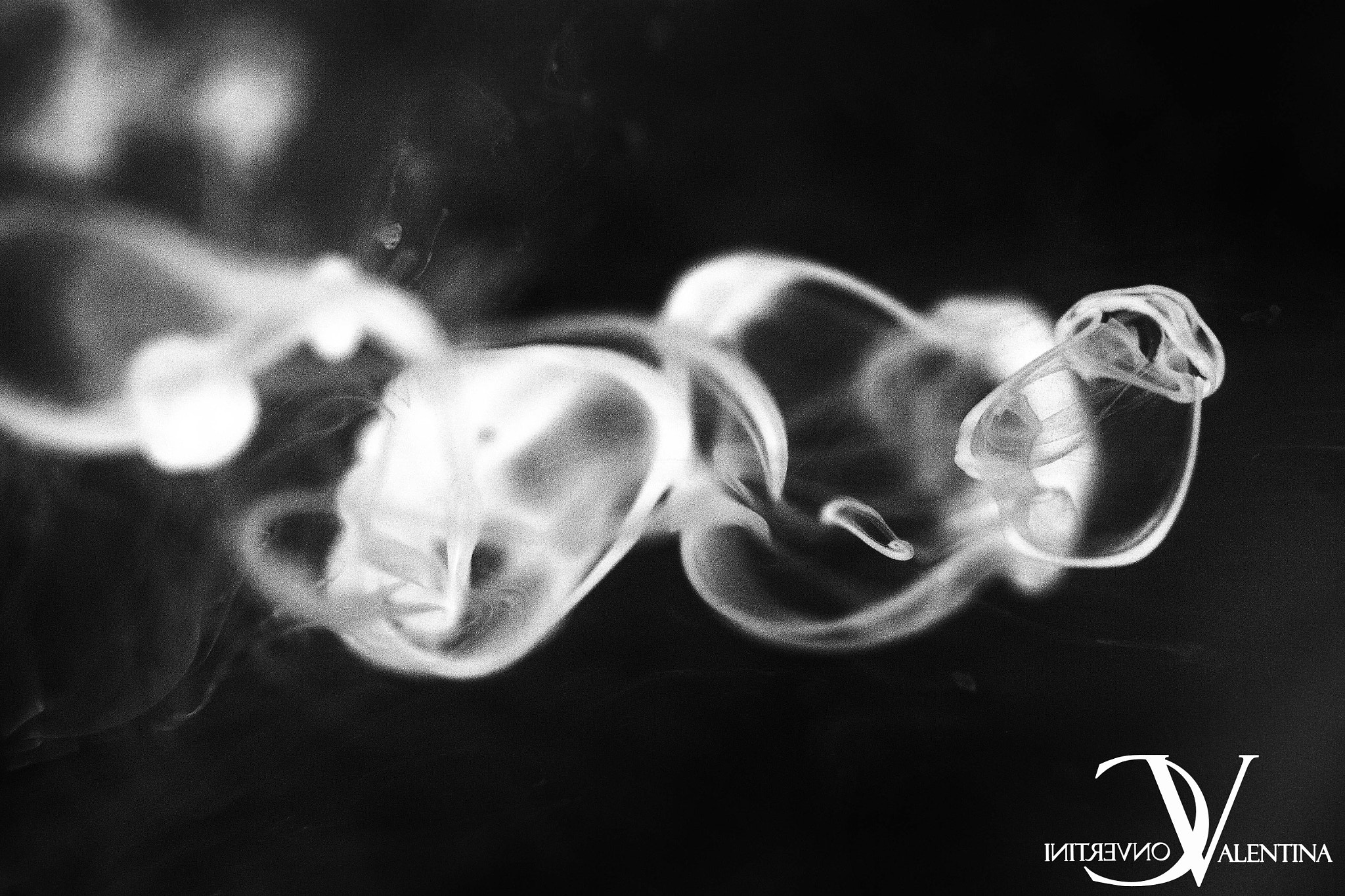 Sigma APO Macro 150mm f/2.8 EX DG HSM sample photo. Invweb photography