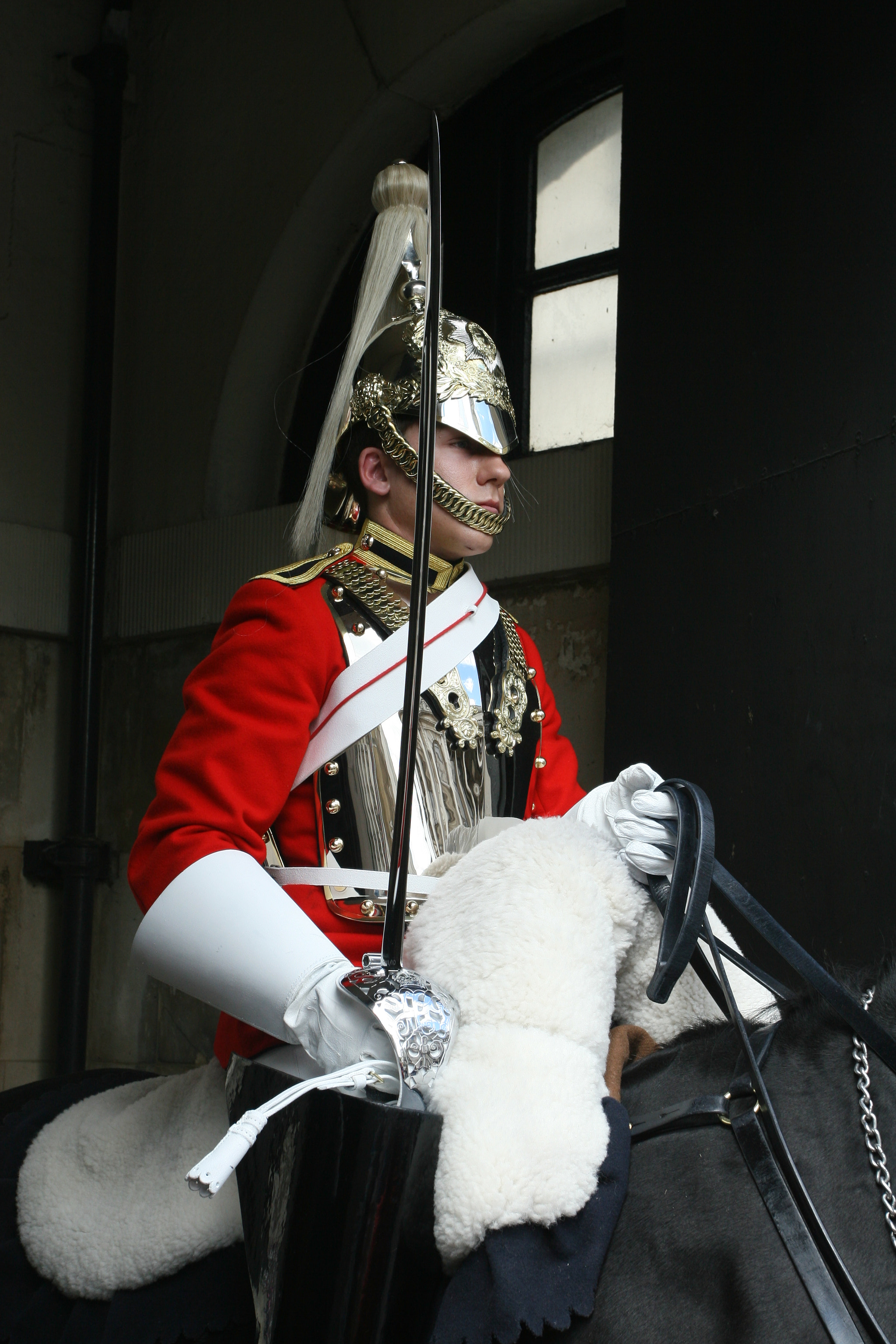 Canon EOS 30D + Canon EF 17-40mm F4L USM sample photo. Changing of the guard at buckingham palace photography