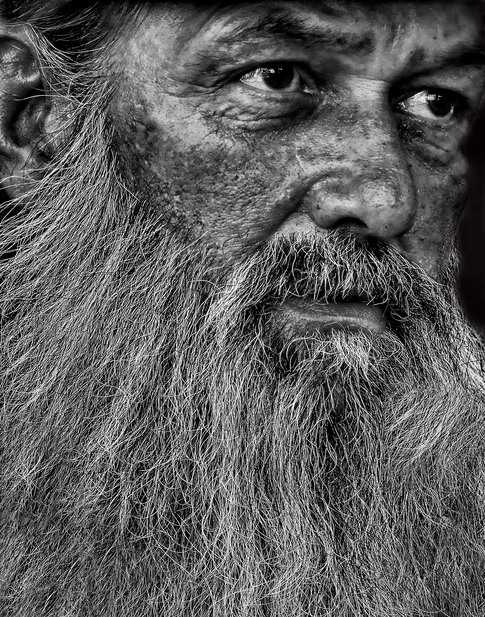 Sony SLT-A55 (SLT-A55V) sample photo. On the street in minneapolis photography