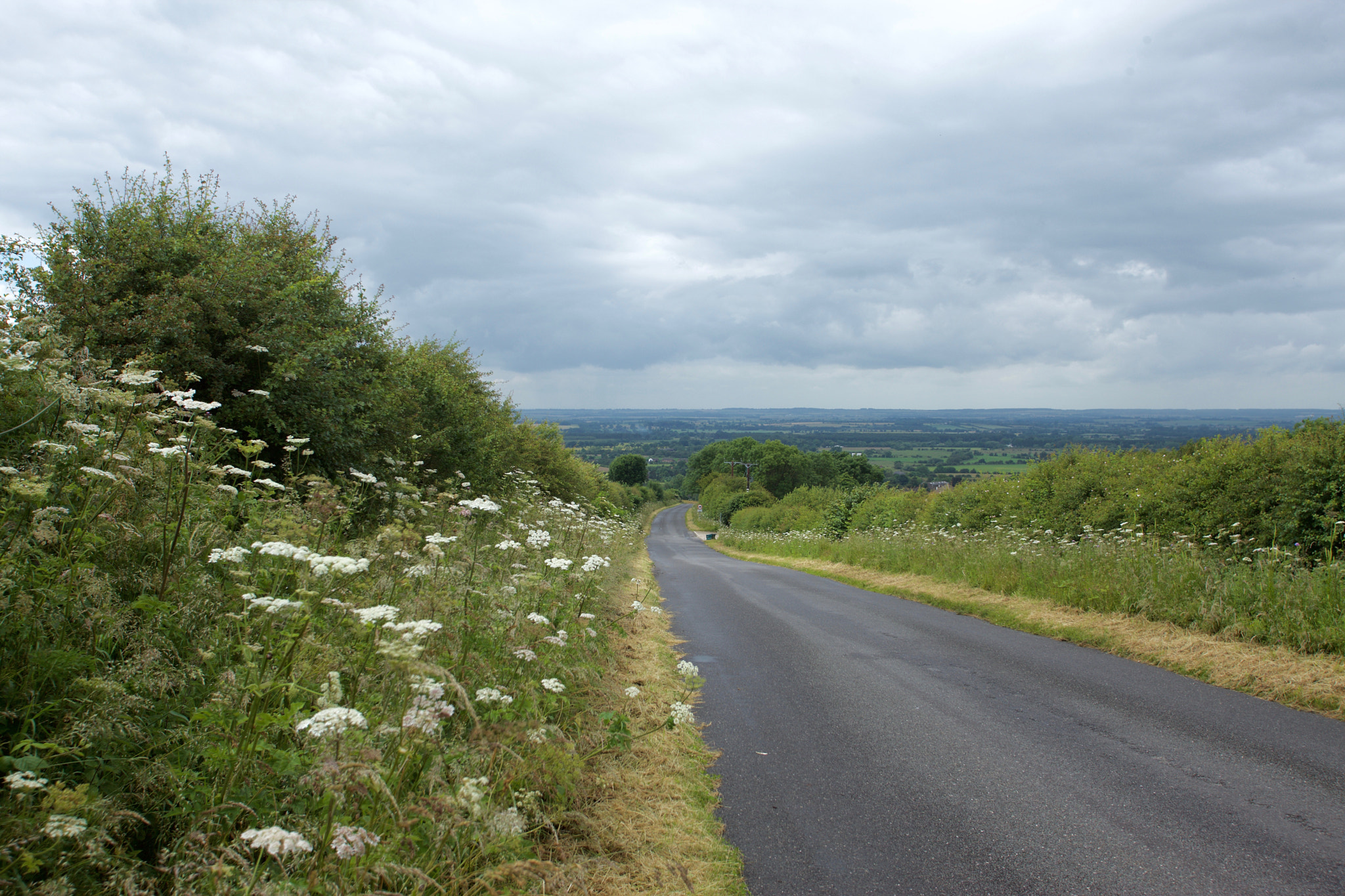 Canon EF 17-35mm f/2.8L sample photo. Nettleton.jpg photography