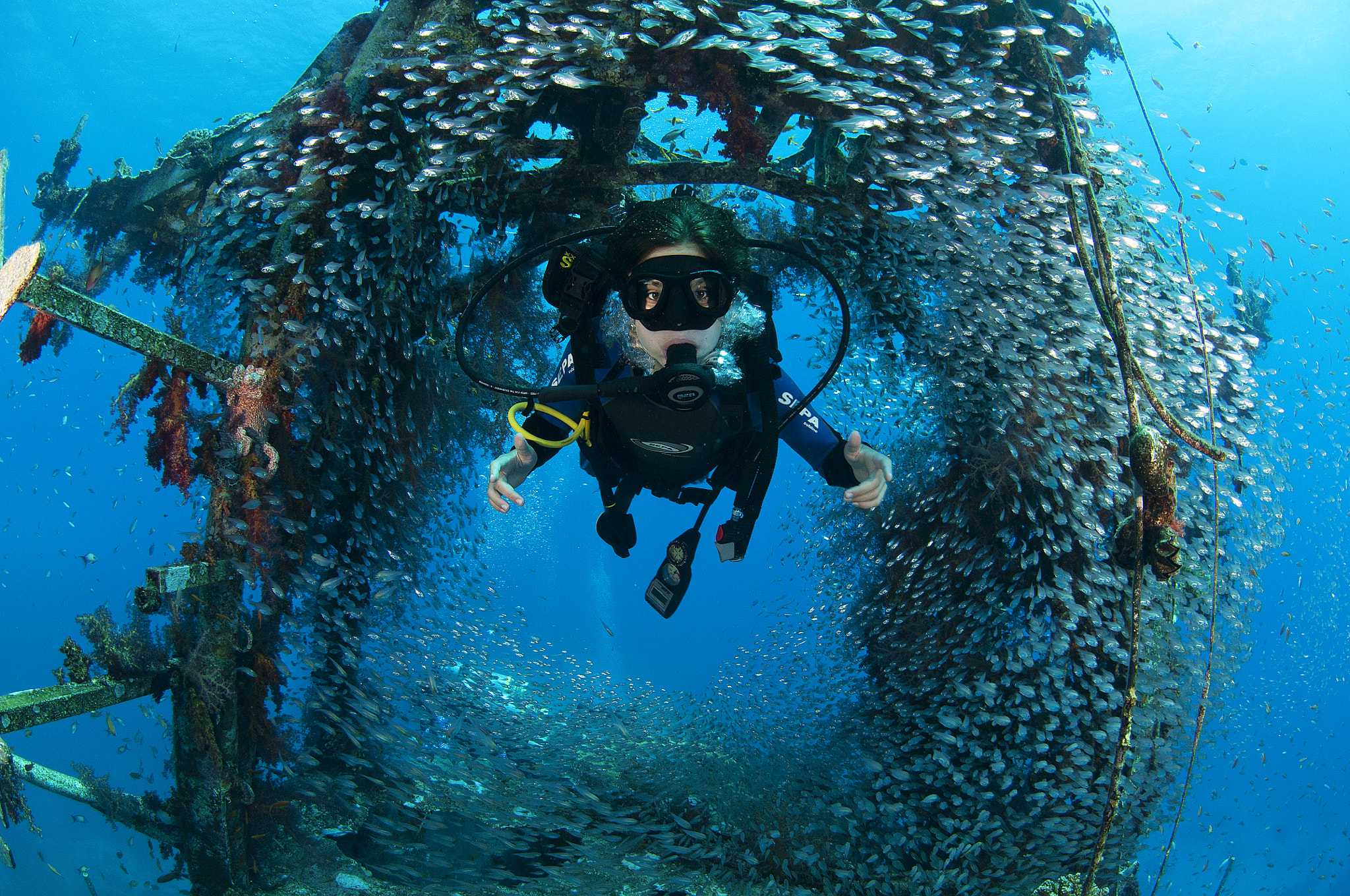 Nikon AF DX Fisheye-Nikkor 10.5mm F2.8G ED sample photo. Diver swimming through a fish bowl in a wreck photography