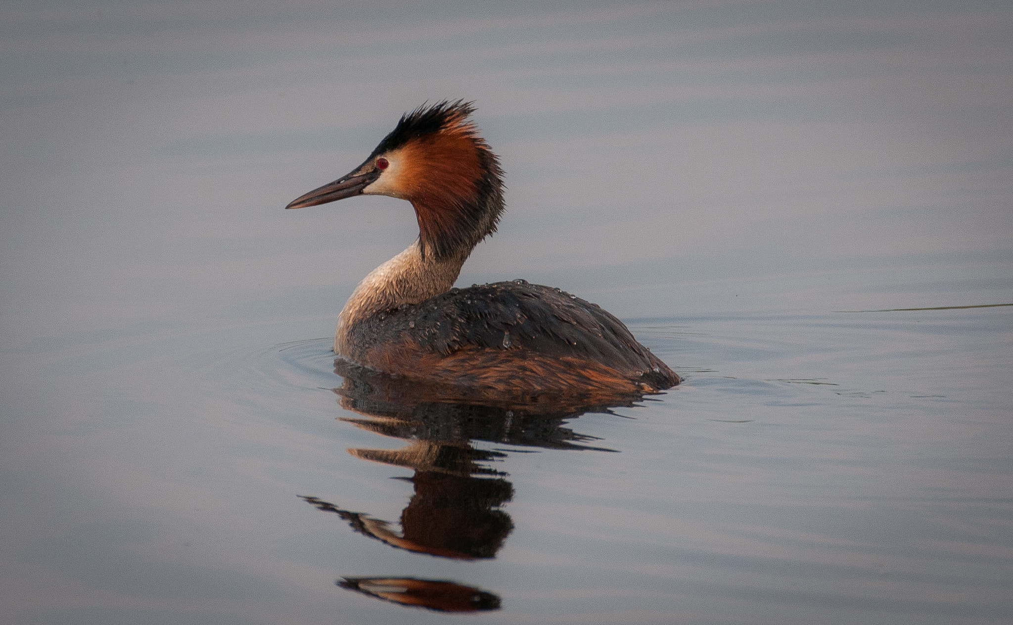 Sigma 150-600mm F5-6.3 DG OS HSM | C sample photo. Sunset, moment of peace photography