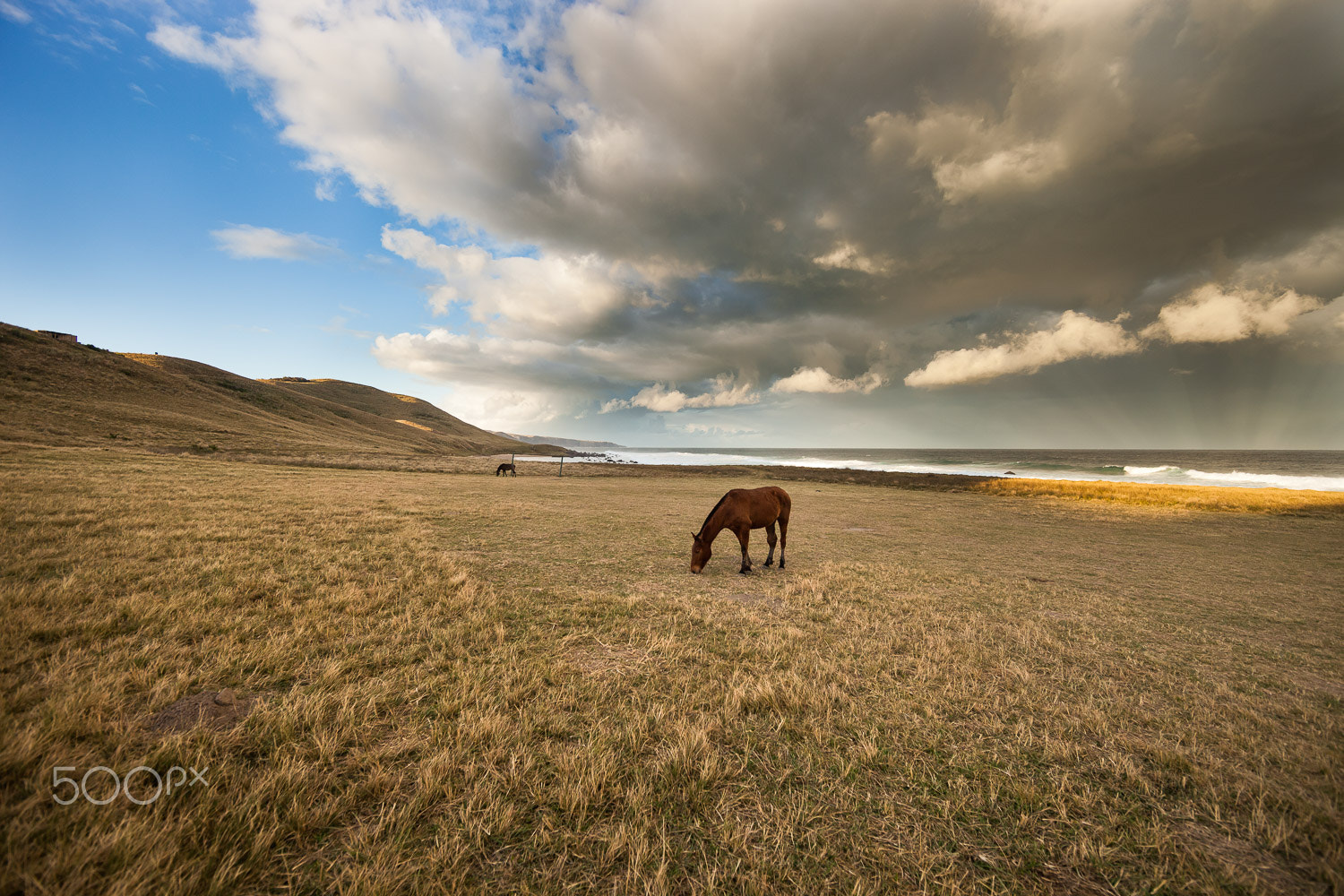 Canon EF 14mm F2.8L II USM sample photo. Craftsman of mboyti photography