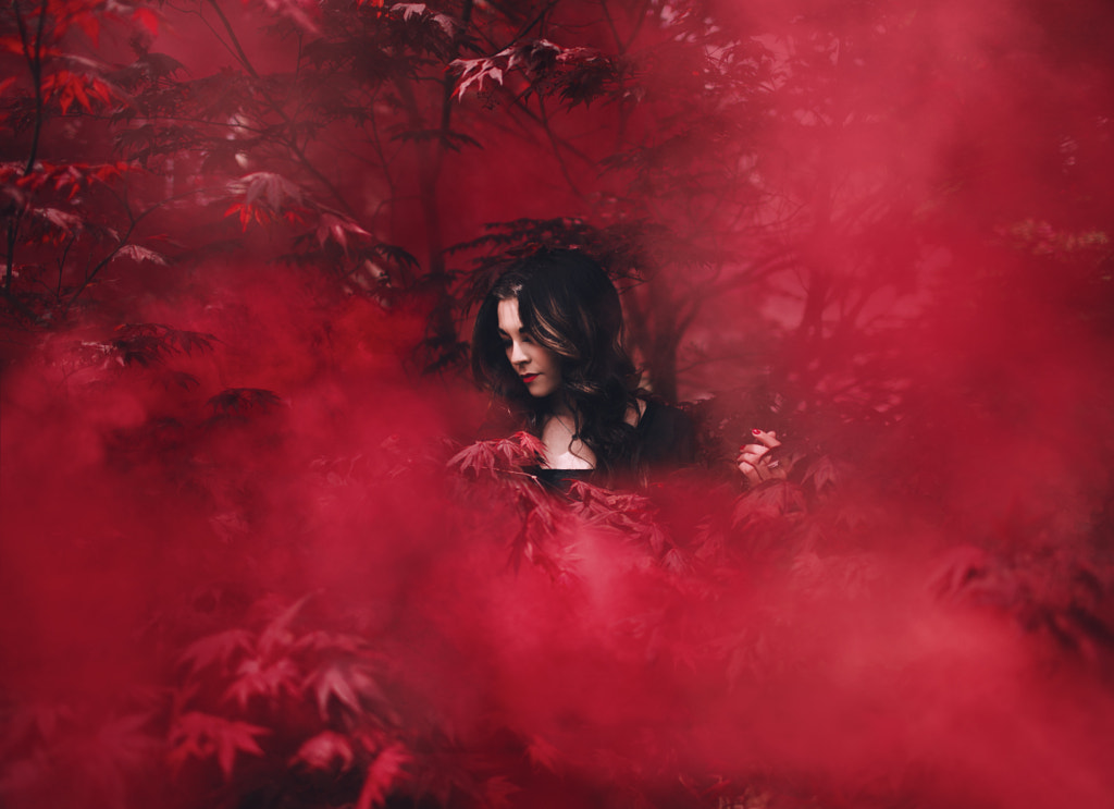 Red velvet by Savannah Daras on 500px.com