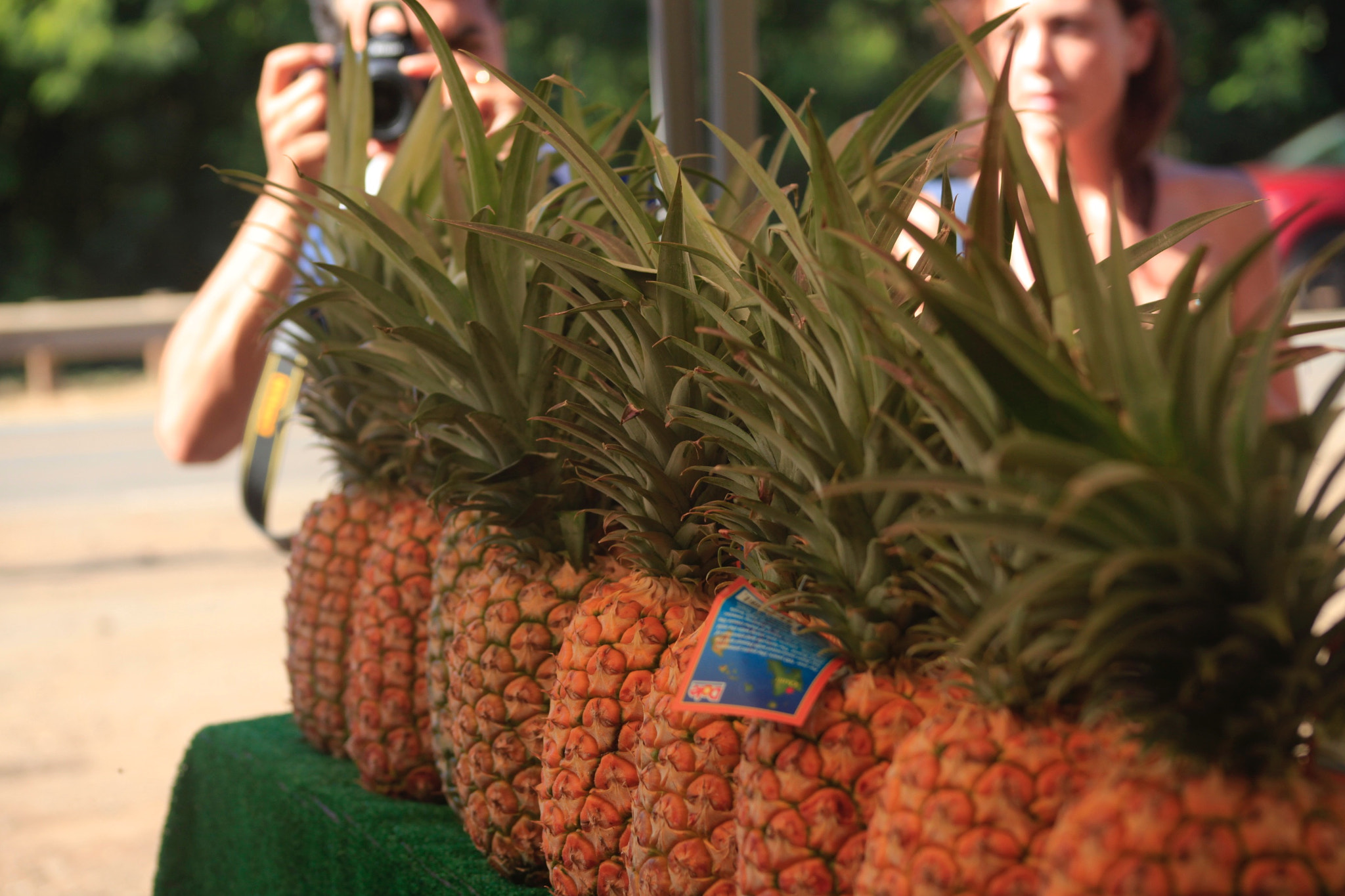Canon EF 75-300mm f/4-5.6 USM sample photo. Pineapple photography