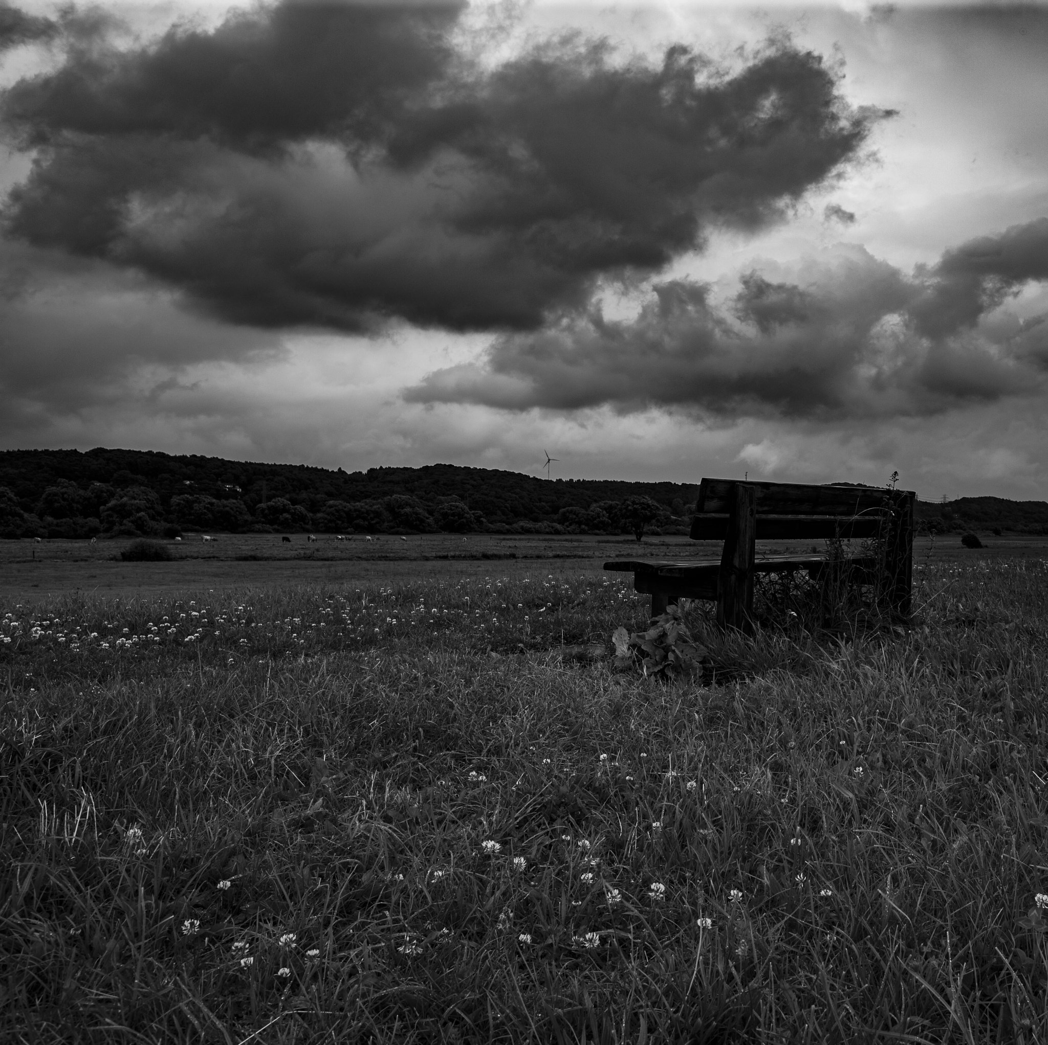 Canon EOS-1Ds Mark III + Canon EF 24mm F1.4L II USM sample photo. Dramatic bench photography