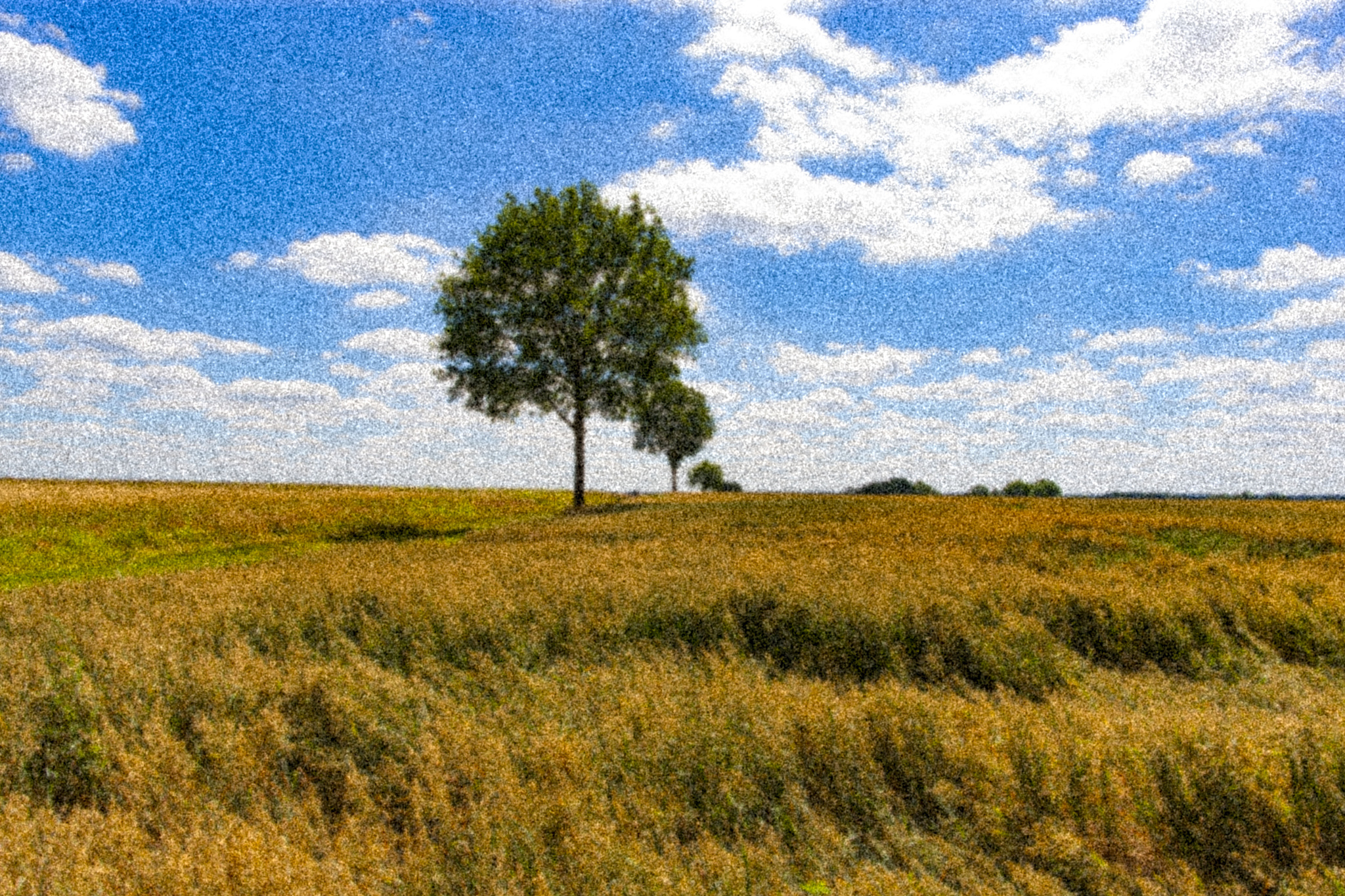Canon EF 24mm F1.4L II USM sample photo. Над пропастью во ржи photography