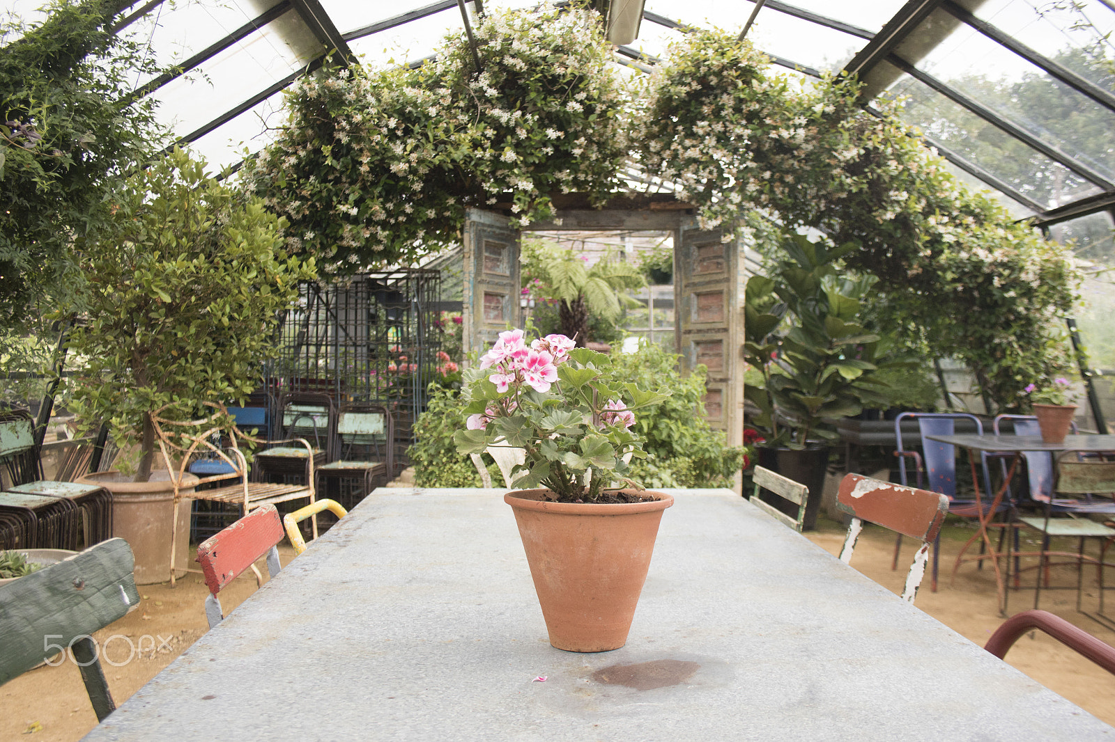 Canon EF-S 18-55mm F3.5-5.6 II sample photo. The green house at petersham nurseries photography