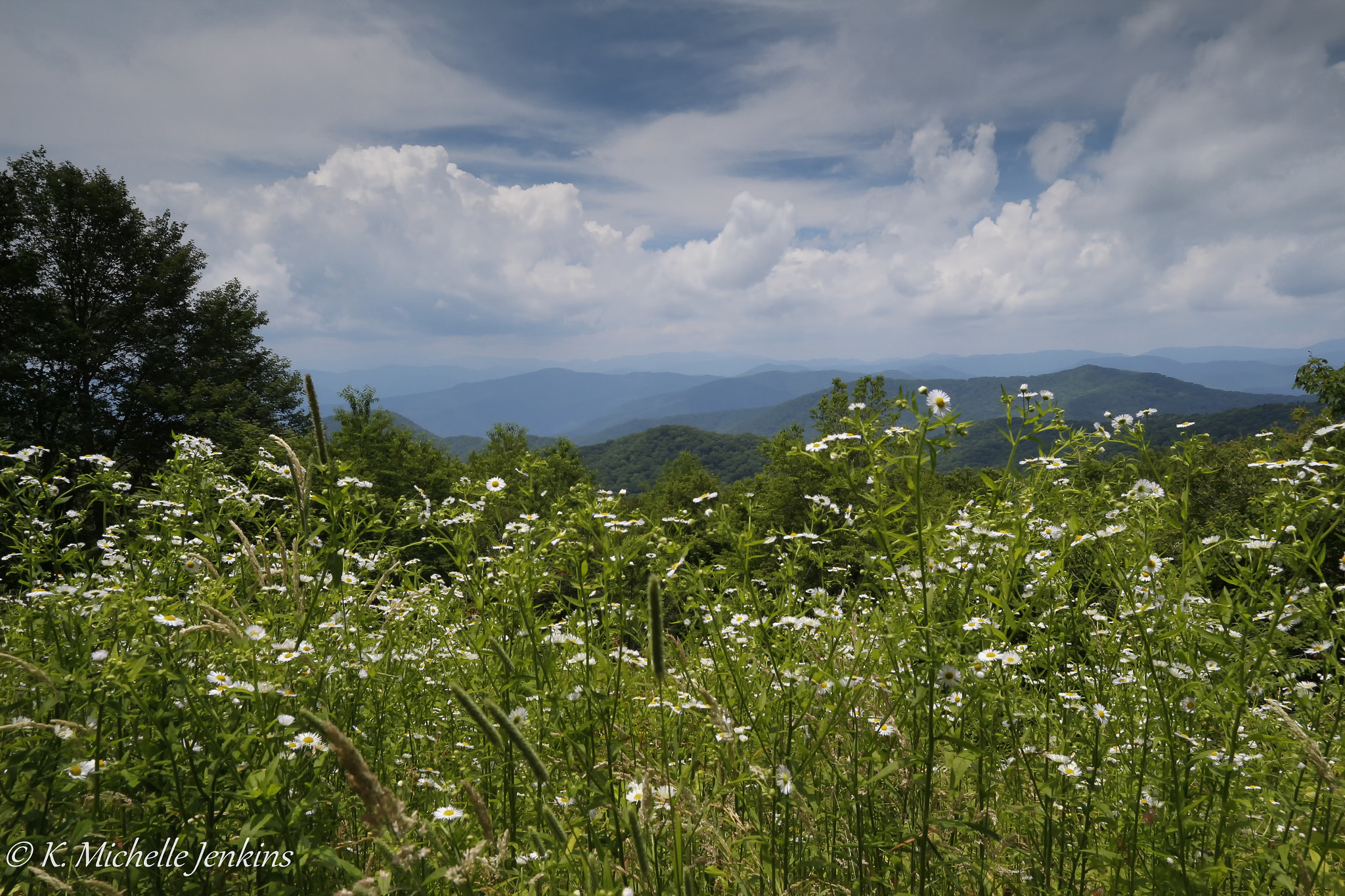 Canon EOS 650D (EOS Rebel T4i / EOS Kiss X6i) sample photo. View from balsam mountain photography
