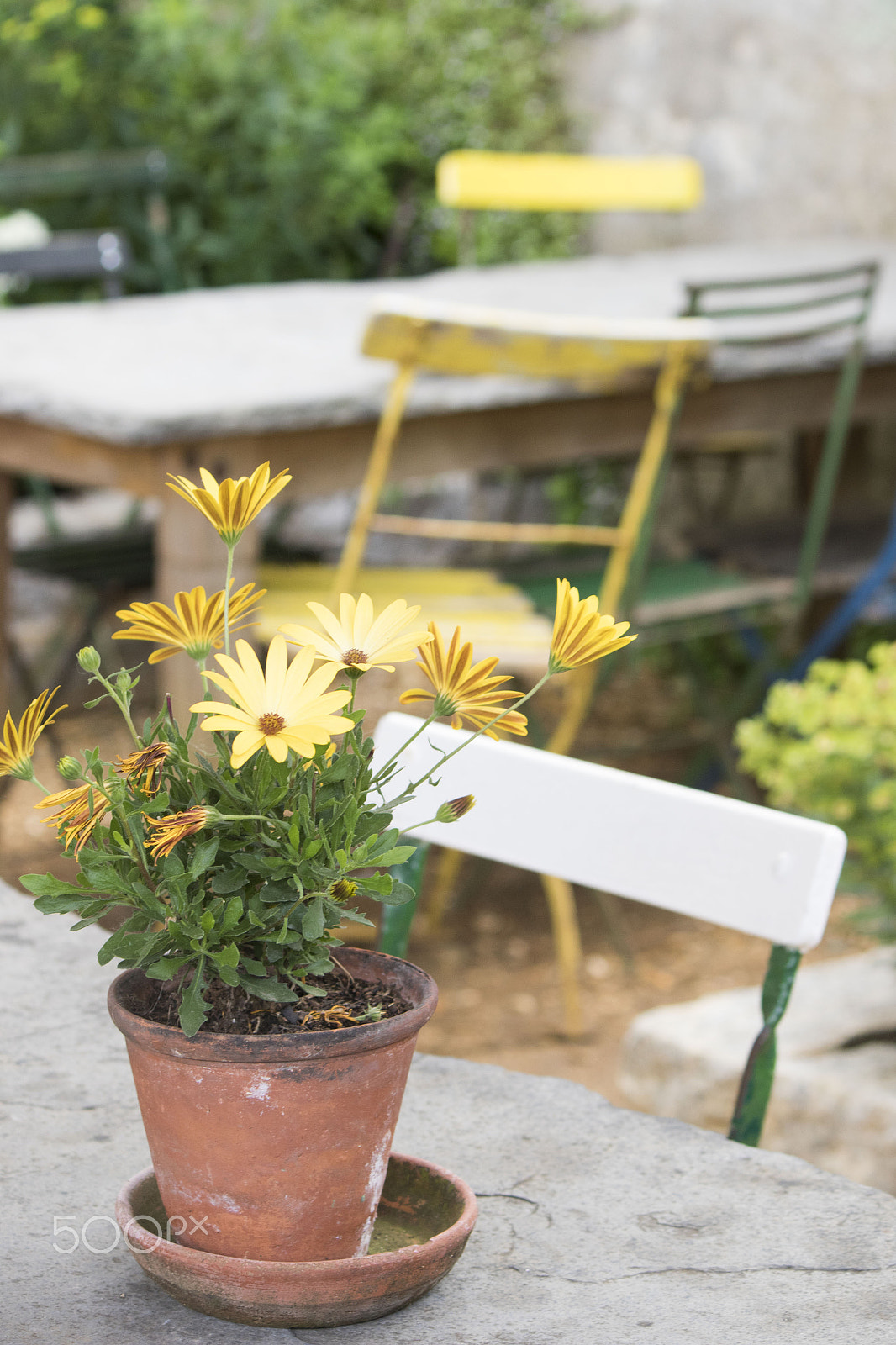 Canon EF-S 55-250mm F4-5.6 IS sample photo. Tables and chairs at petersham nurseries photography