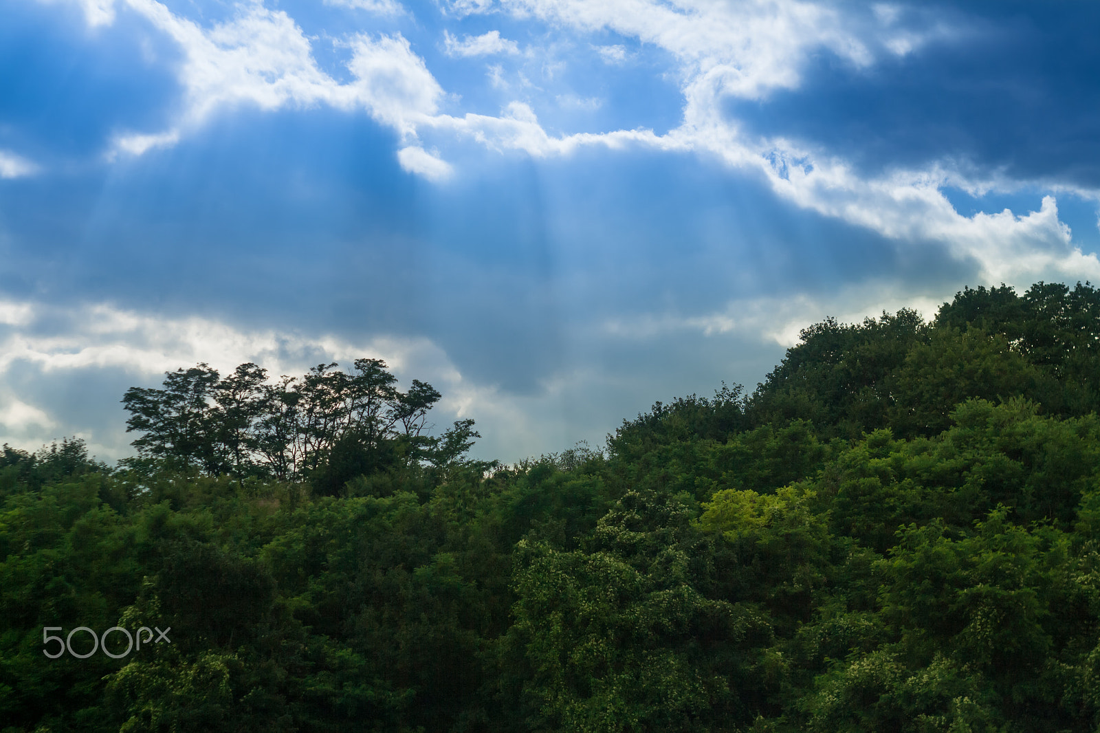Canon EF 35-80mm f/4-5.6 sample photo. Two sides photography