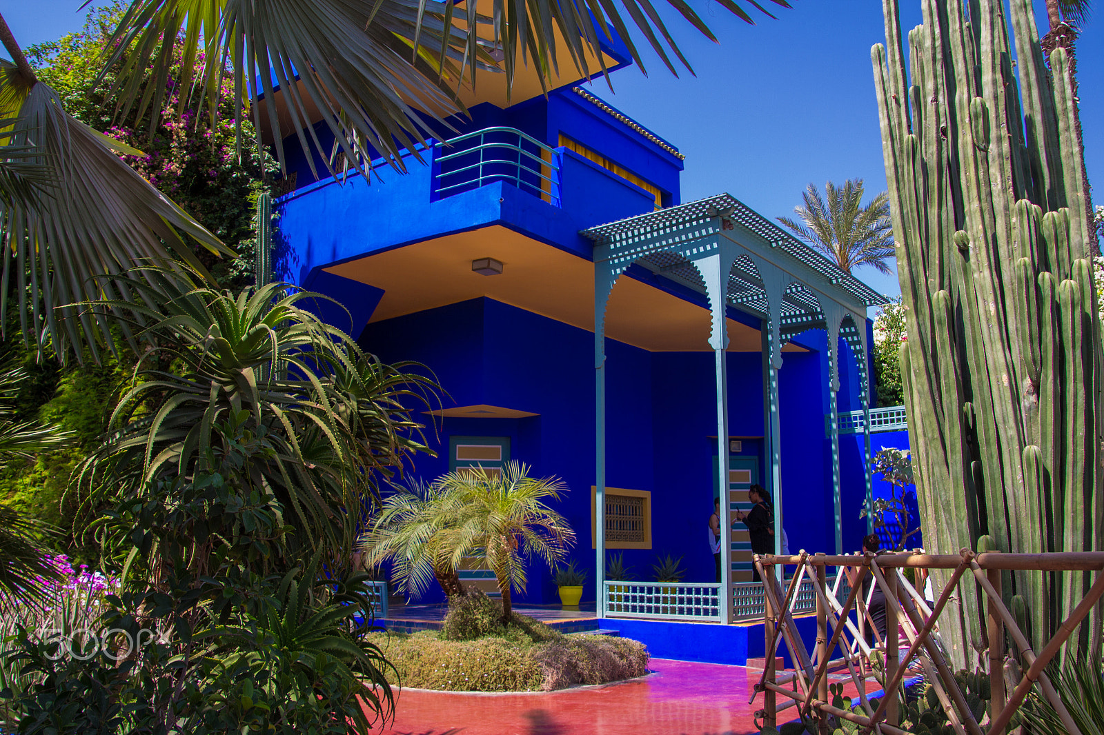 Canon EOS 650D (EOS Rebel T4i / EOS Kiss X6i) sample photo. Jardin majorelle photography