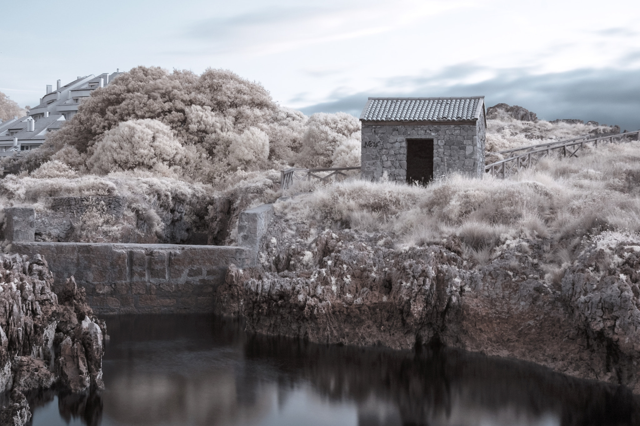 Nikon D50 sample photo. Ir vivero marisco photography