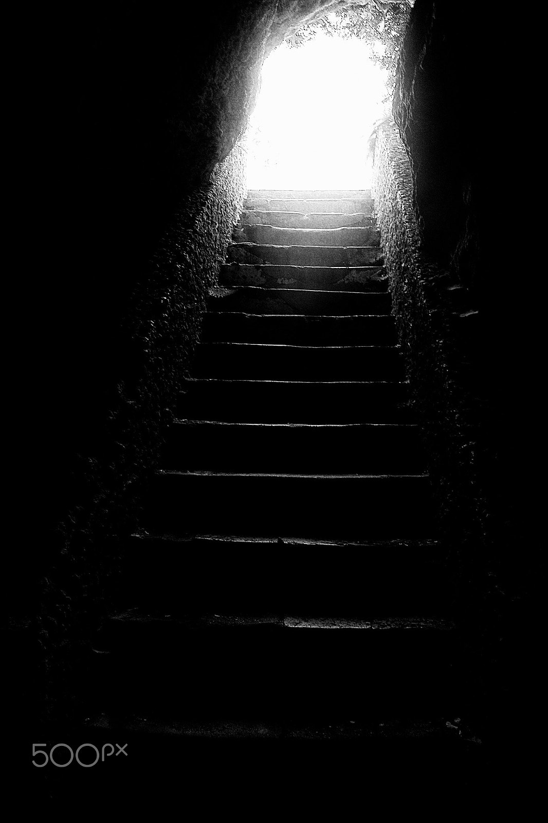 Sigma SD14 sample photo. Towards the light photography