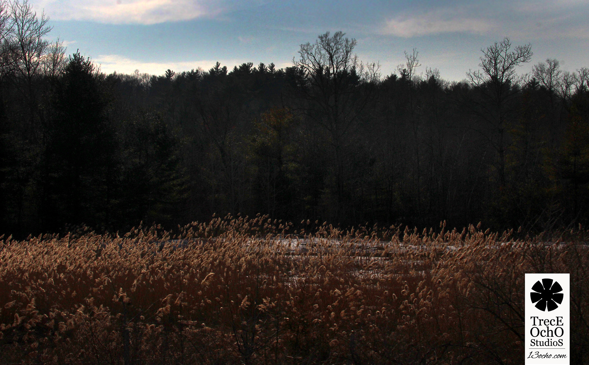 Canon EF 35-350mm F3.5-5.6L USM sample photo. Cold photography