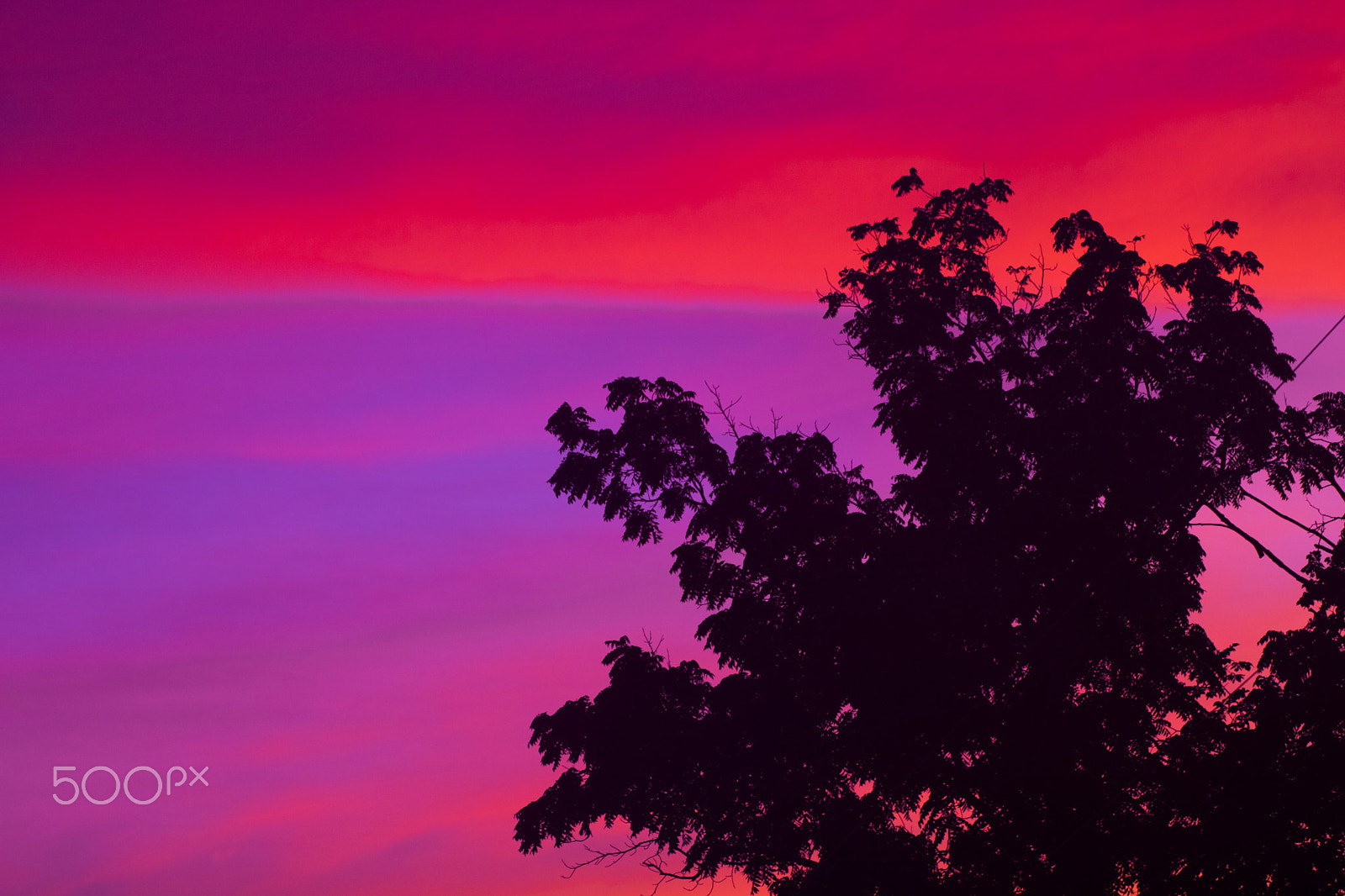 Canon EOS 750D (EOS Rebel T6i / EOS Kiss X8i) sample photo. Scarlet sunset photography